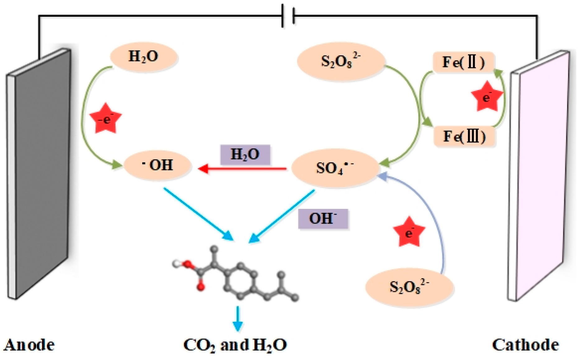 Catalysts 12 00329 g005