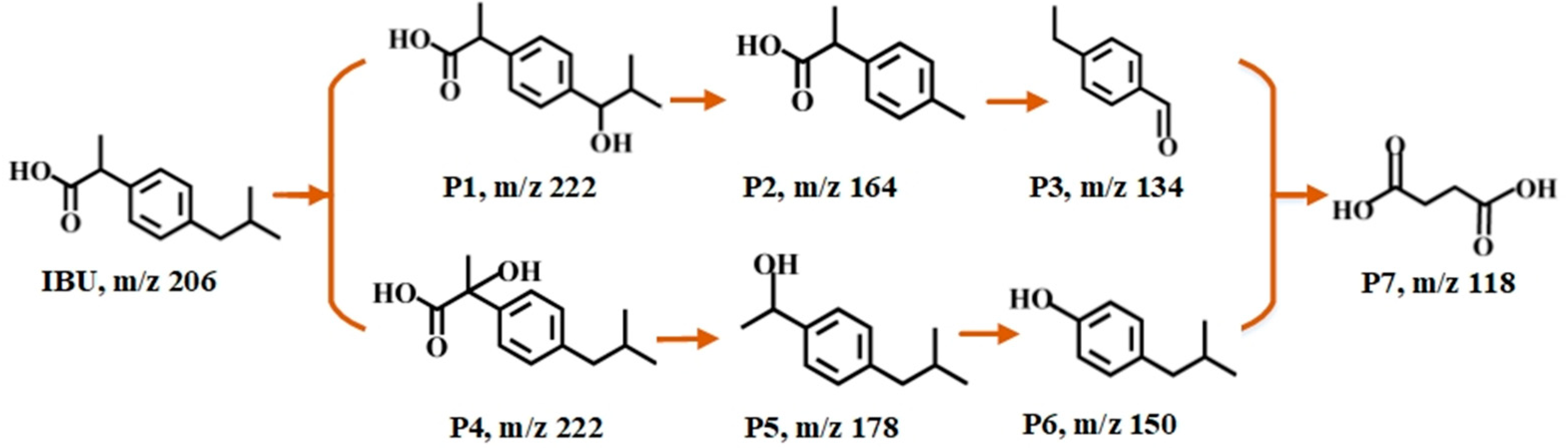 Catalysts 12 00329 g007