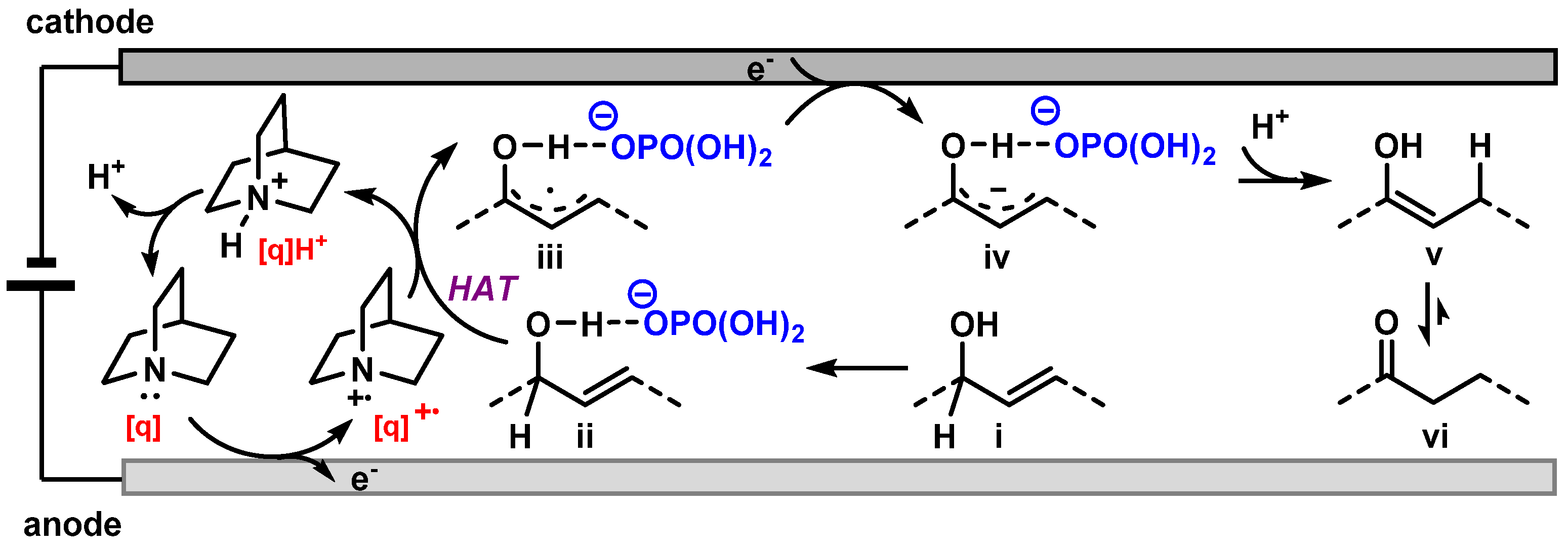 Catalysts 12 00333 g005