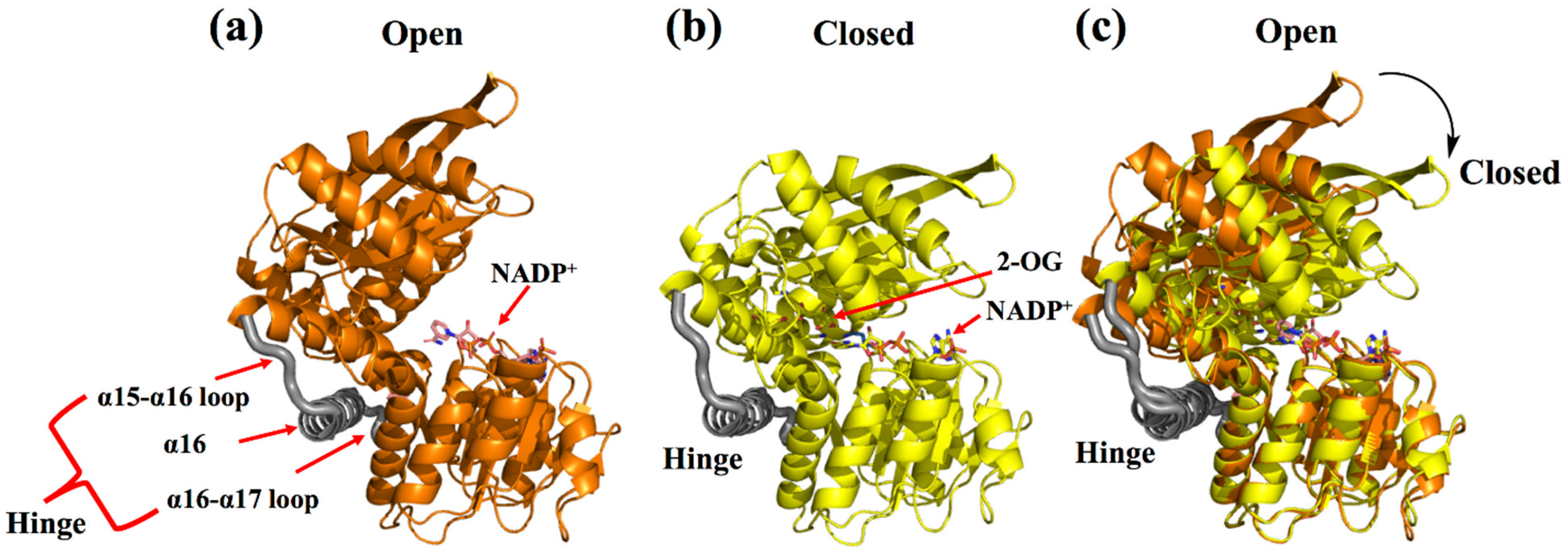 Catalysts 12 00380 g002 Catalysts 12 00380 g002