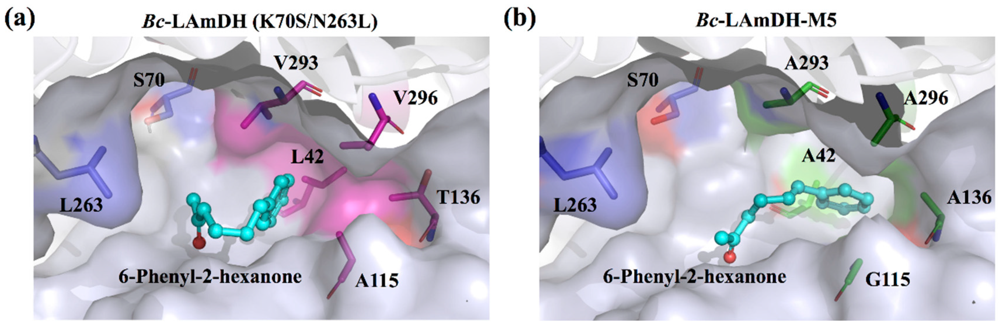 Catalysts 12 00380 g005 Catalysts 12 00380 g005