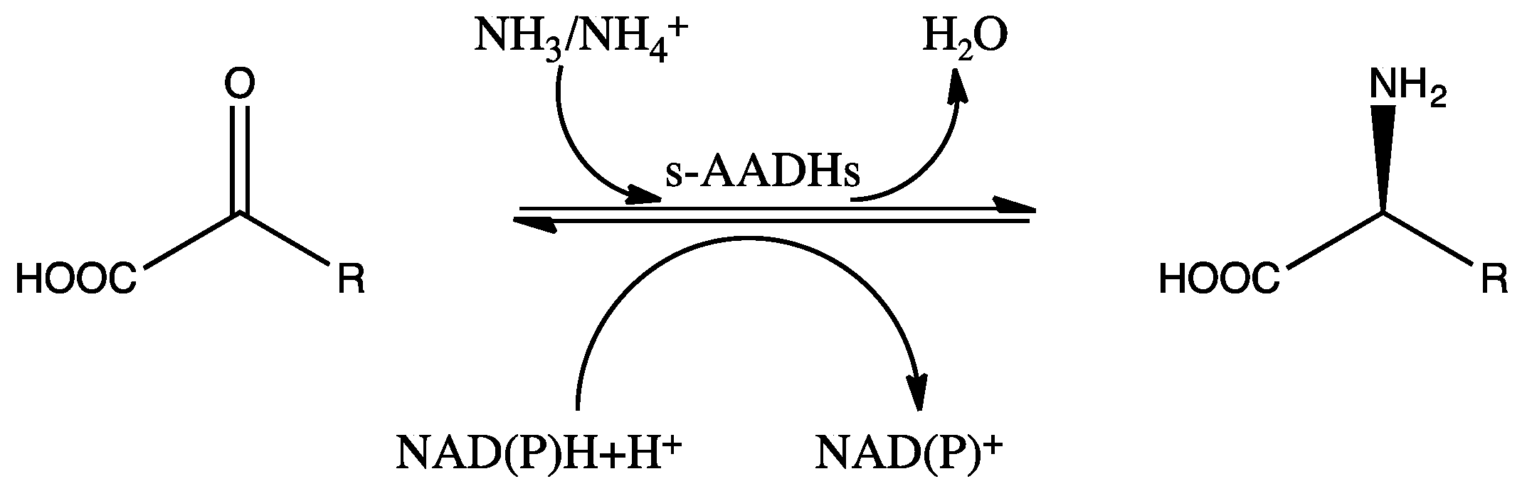 Catalysts 12 00380 sch001 Catalysts 12 00380 sch001
