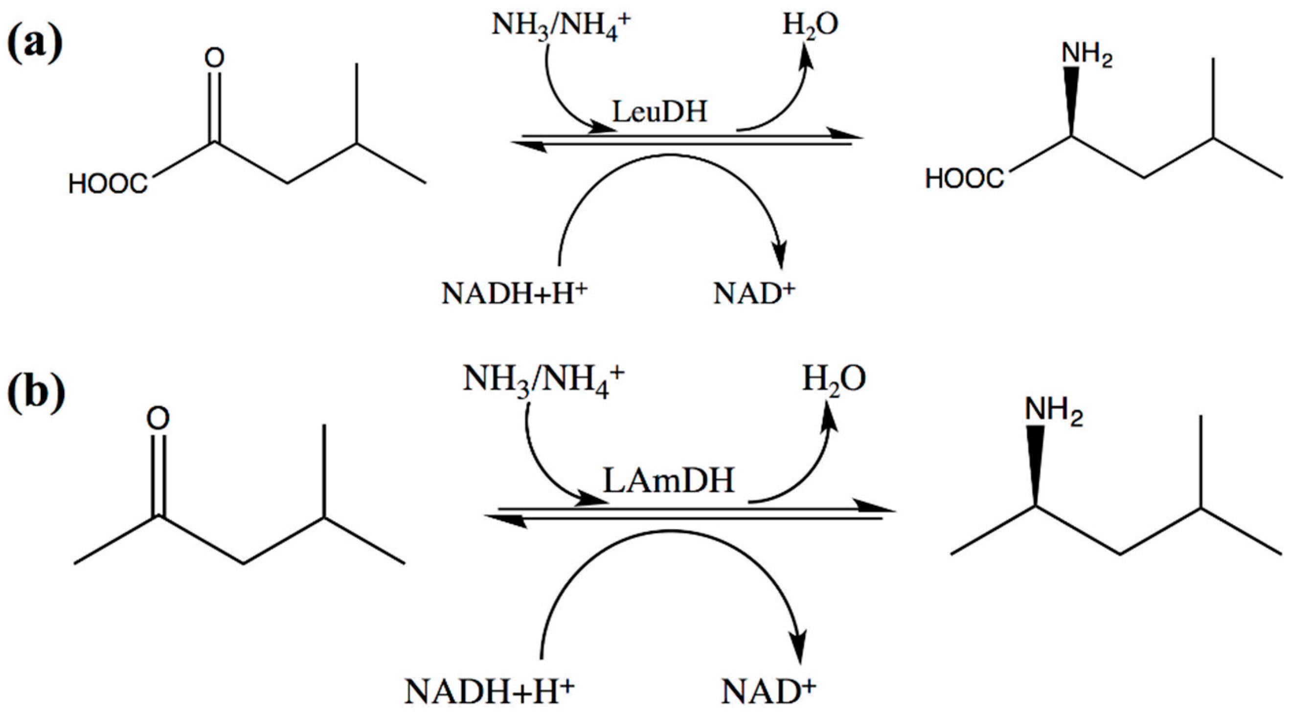 Catalysts 12 00380 sch002 Catalysts 12 00380 sch002