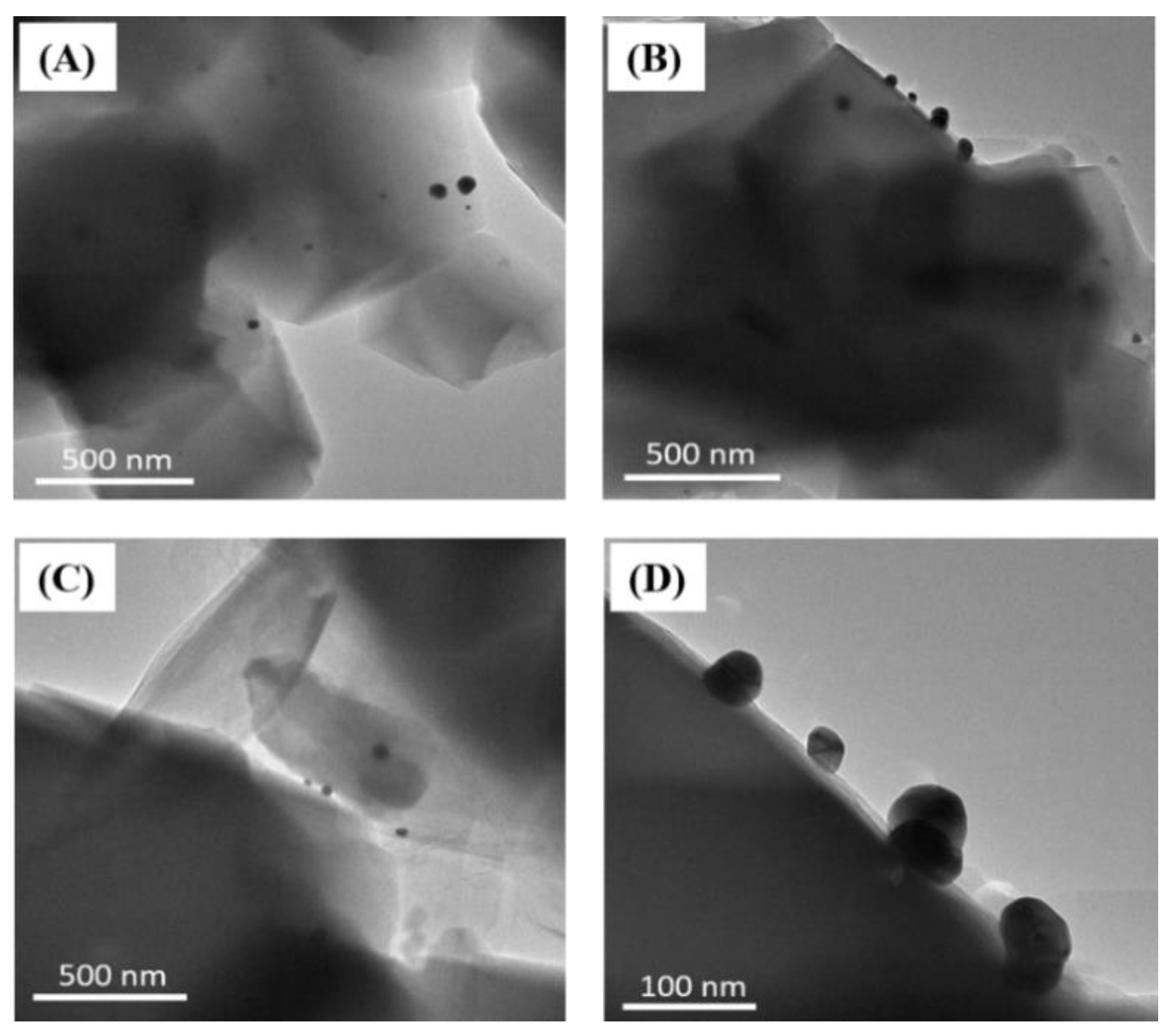 Catalysts 12 00418 g004