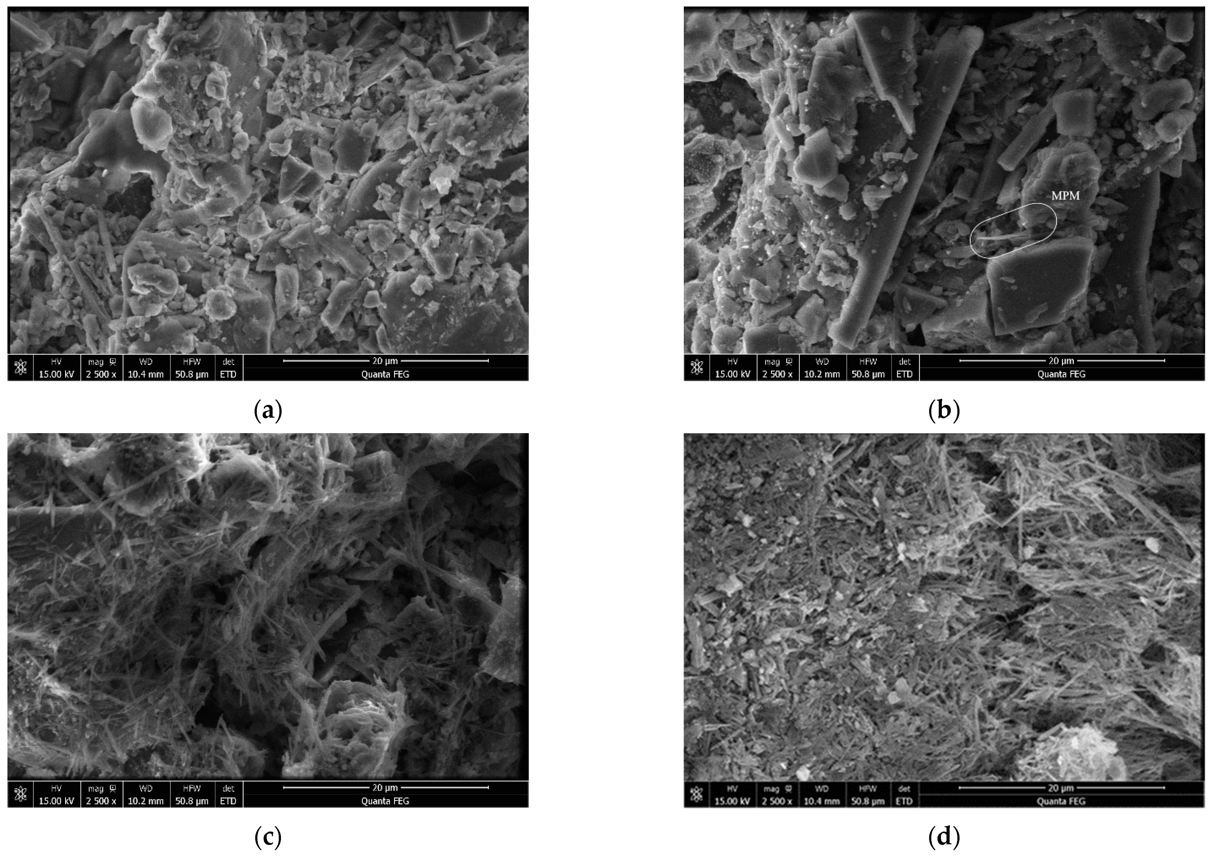 Catalysts 12 00420 g003