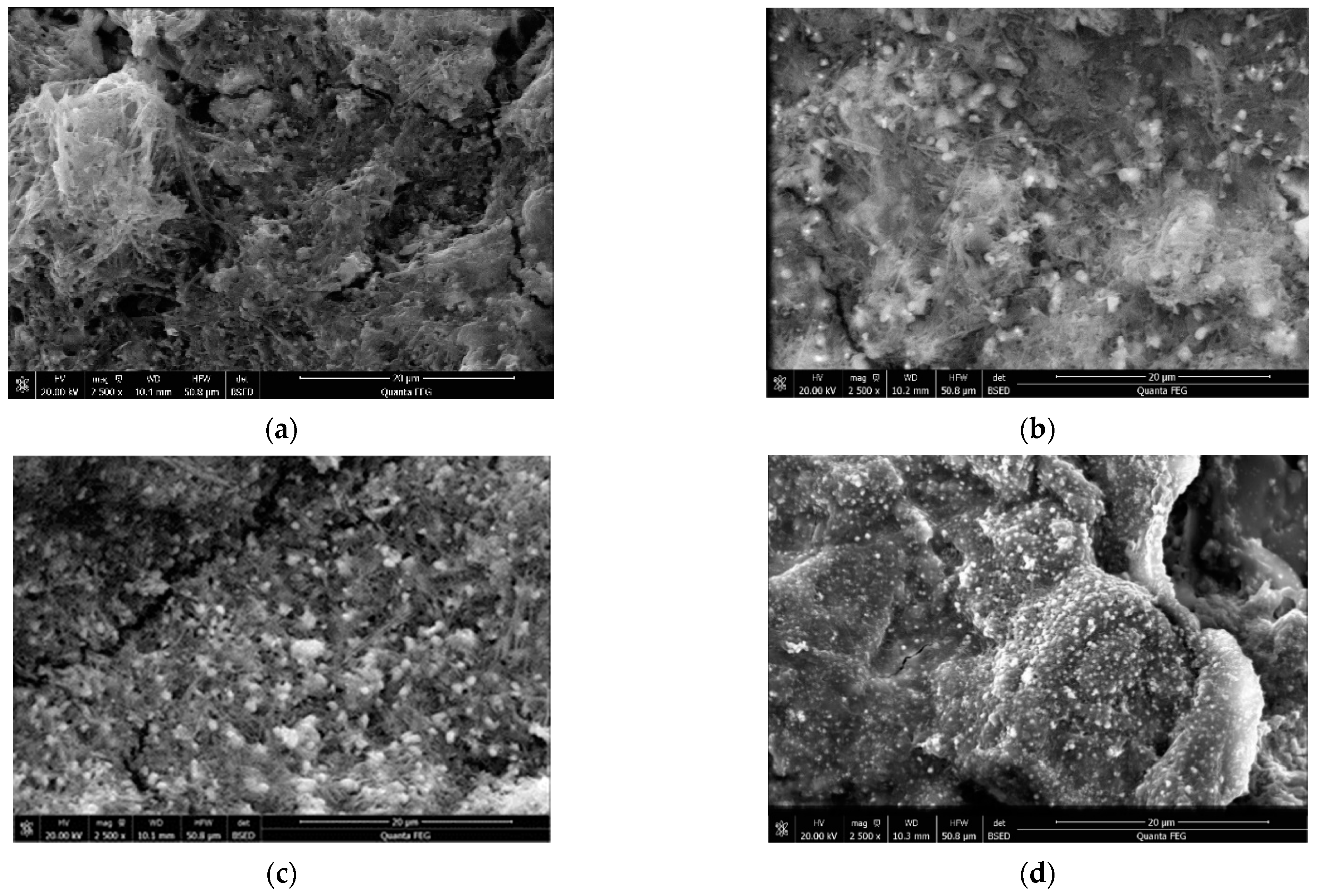 Catalysts 12 00420 g005