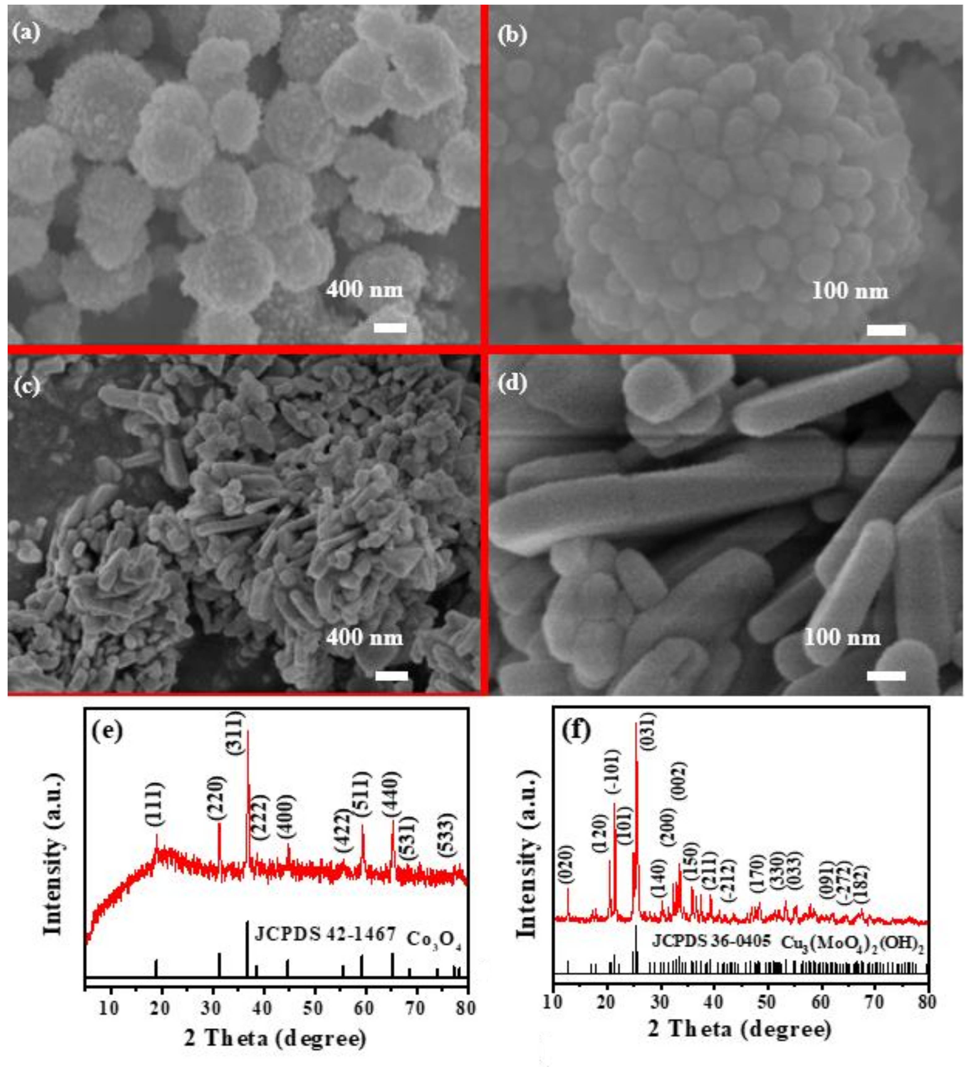 Catalysts 12 00426 g001