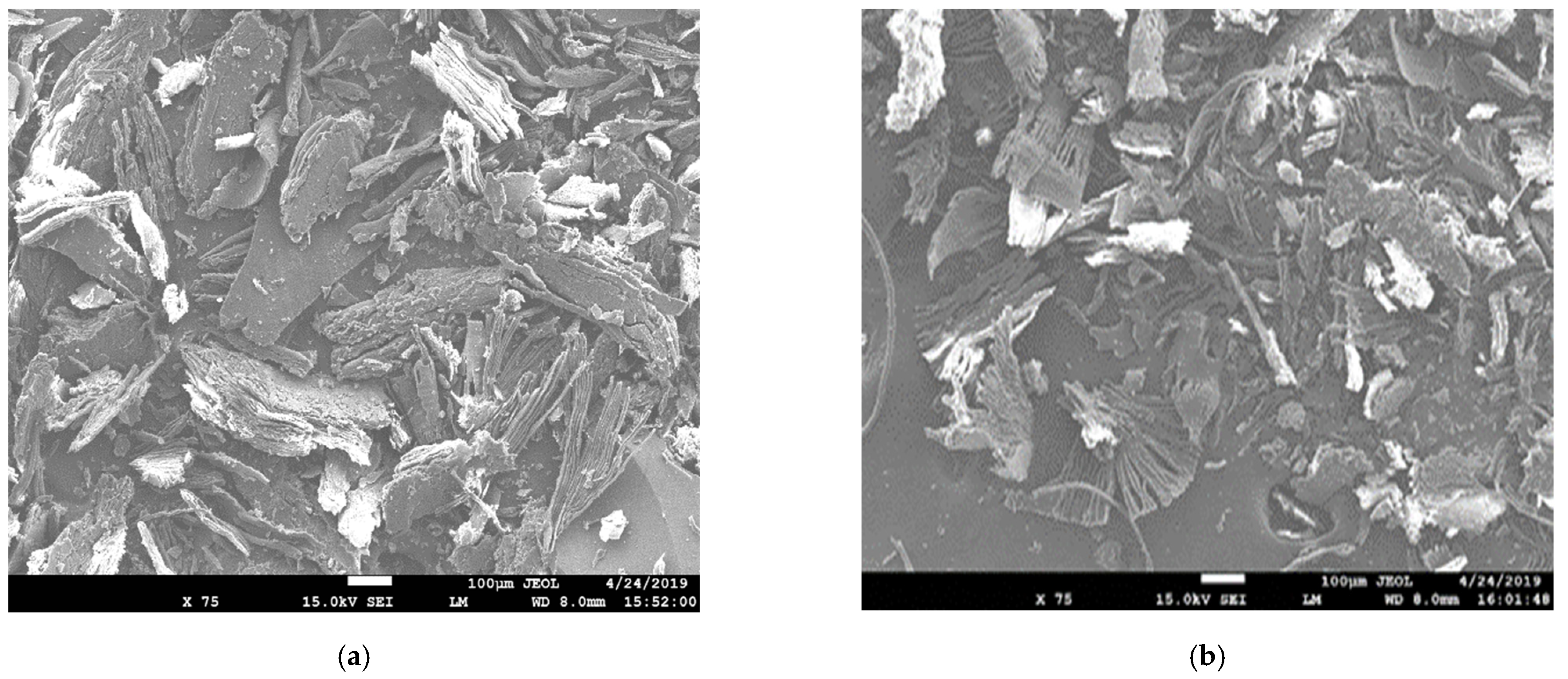 Catalysts 12 00475 g004