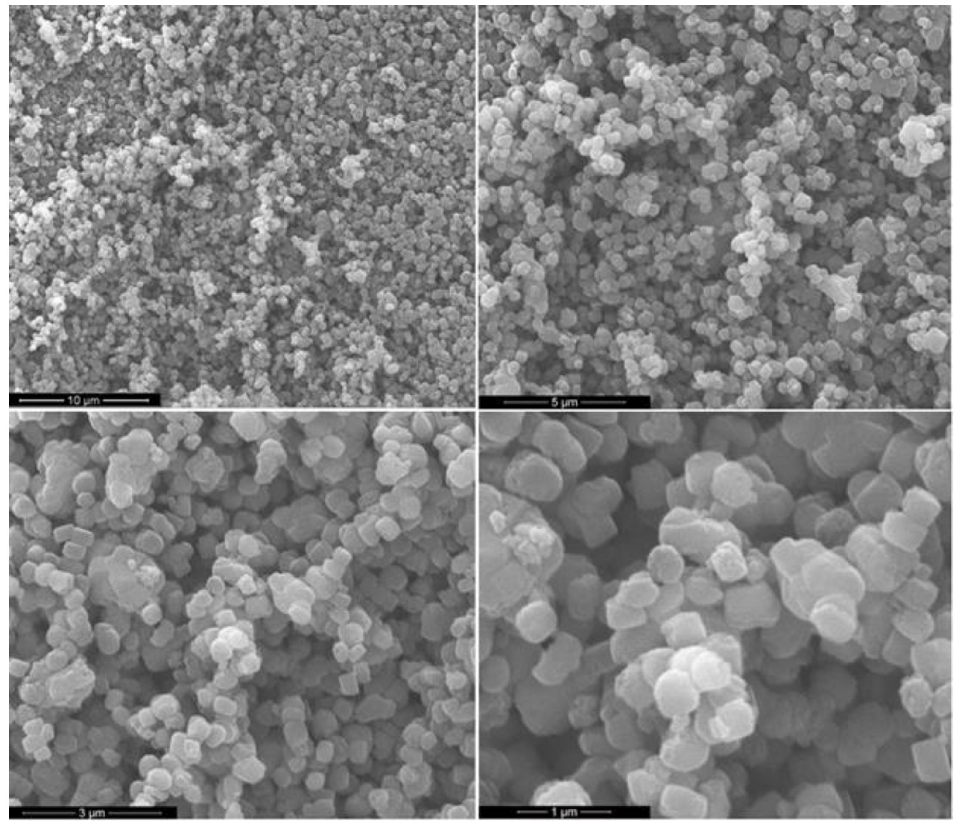 Catalysts 12 00495 g008