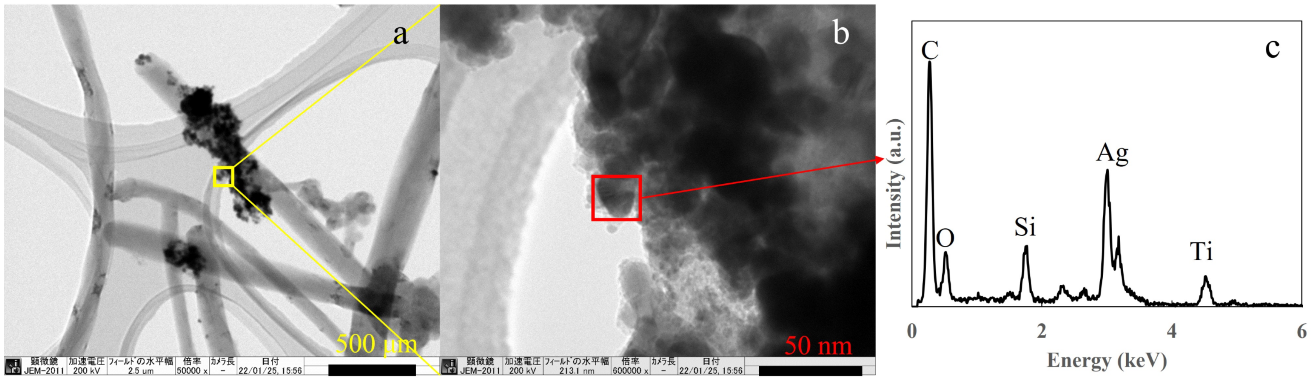 Catalysts 12 00508 g005