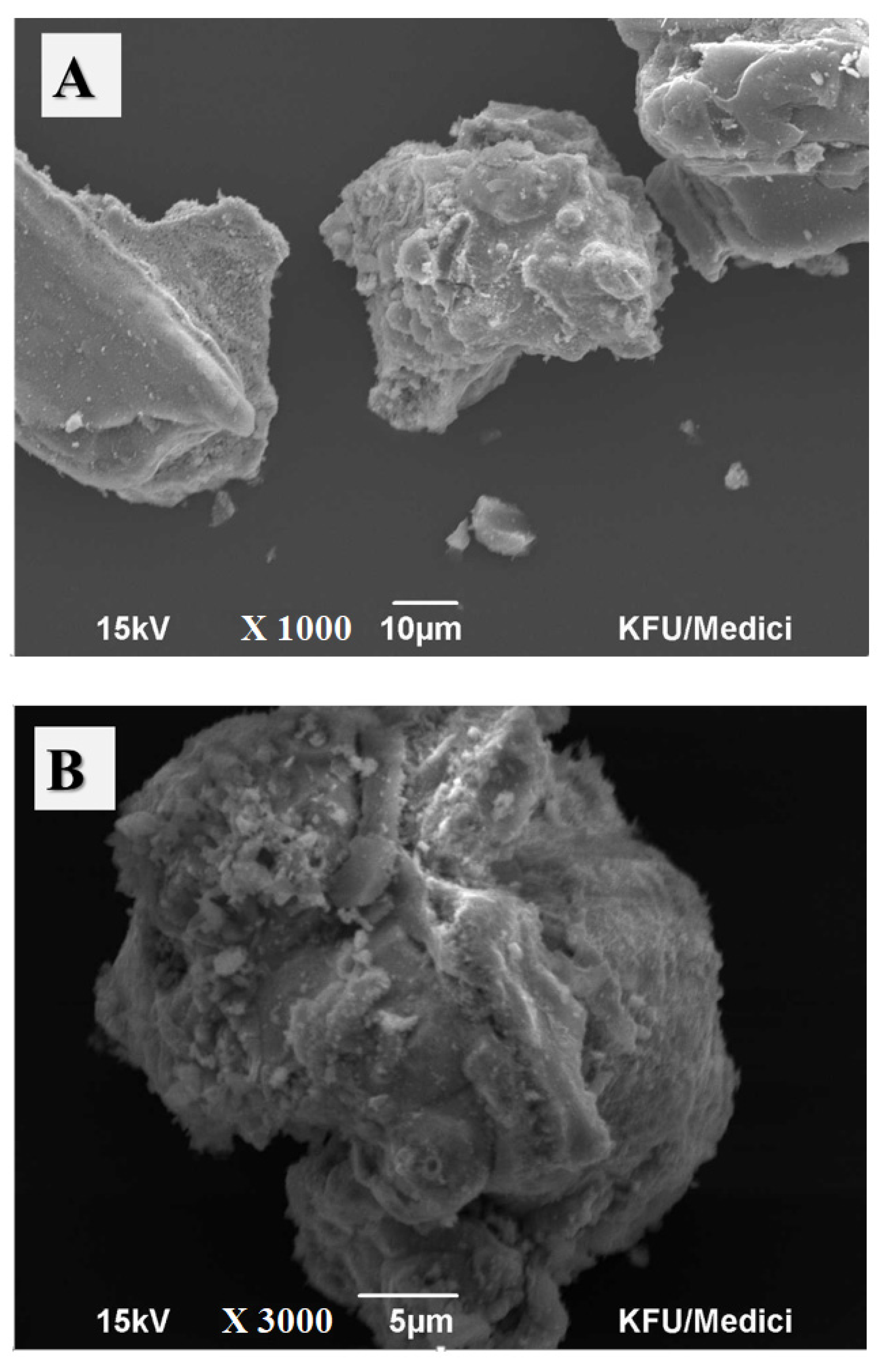 Catalysts 12 00515 g001