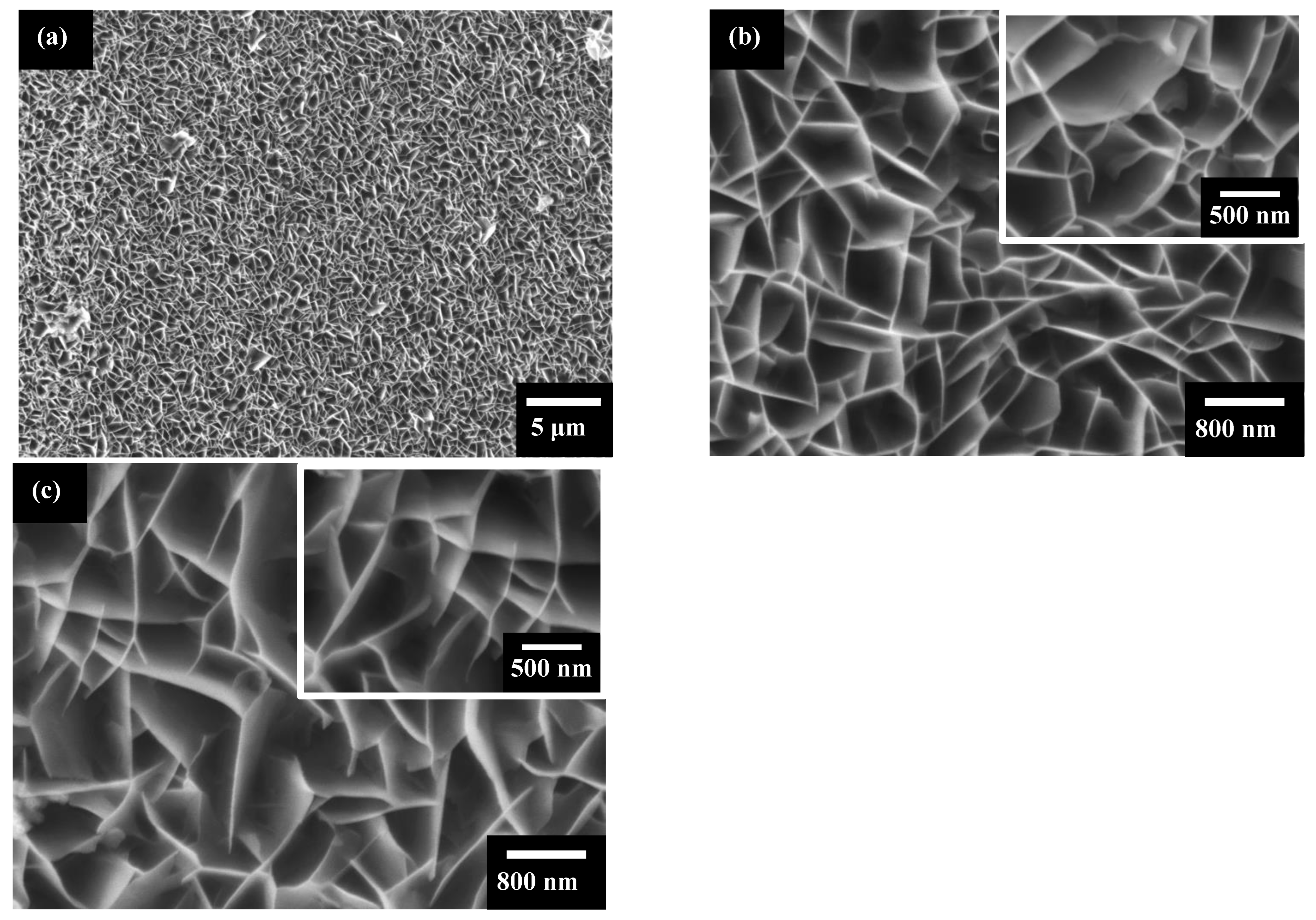 Catalysts 12 00520 g002