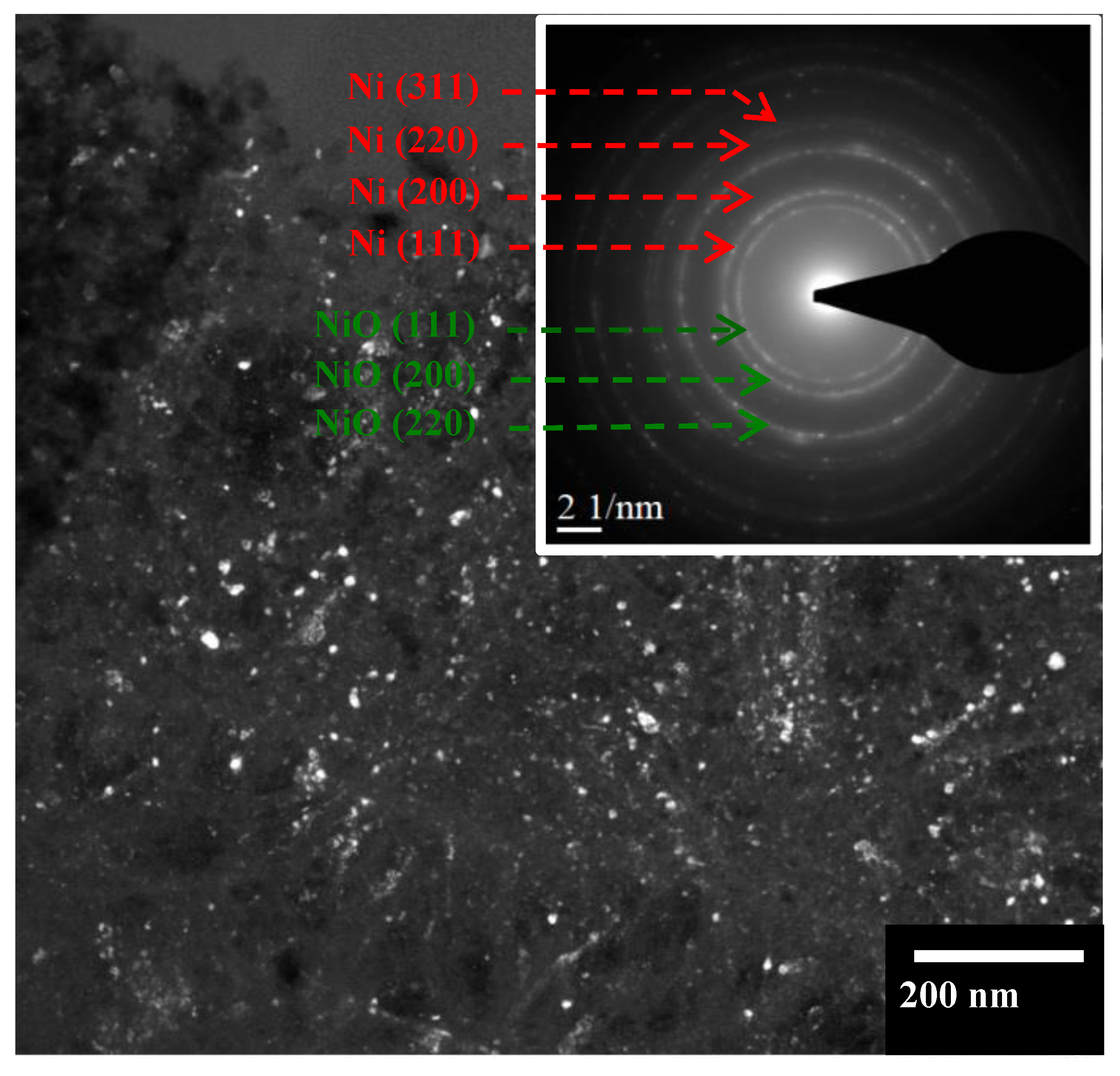 Catalysts 12 00520 g008