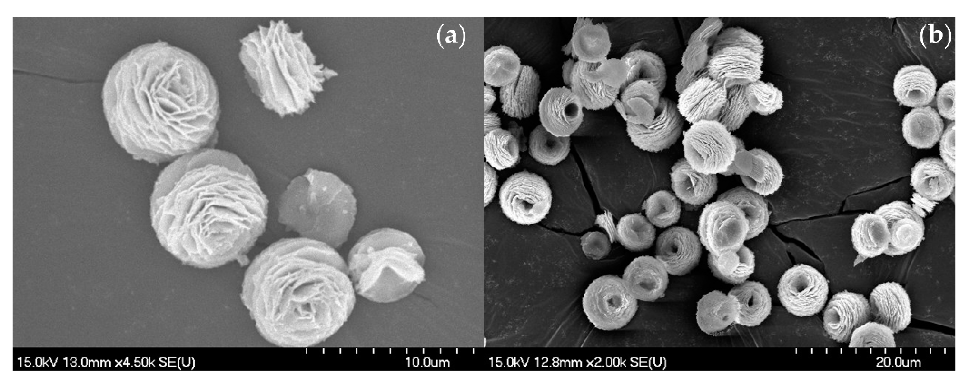 Catalysts 12 00527 g003