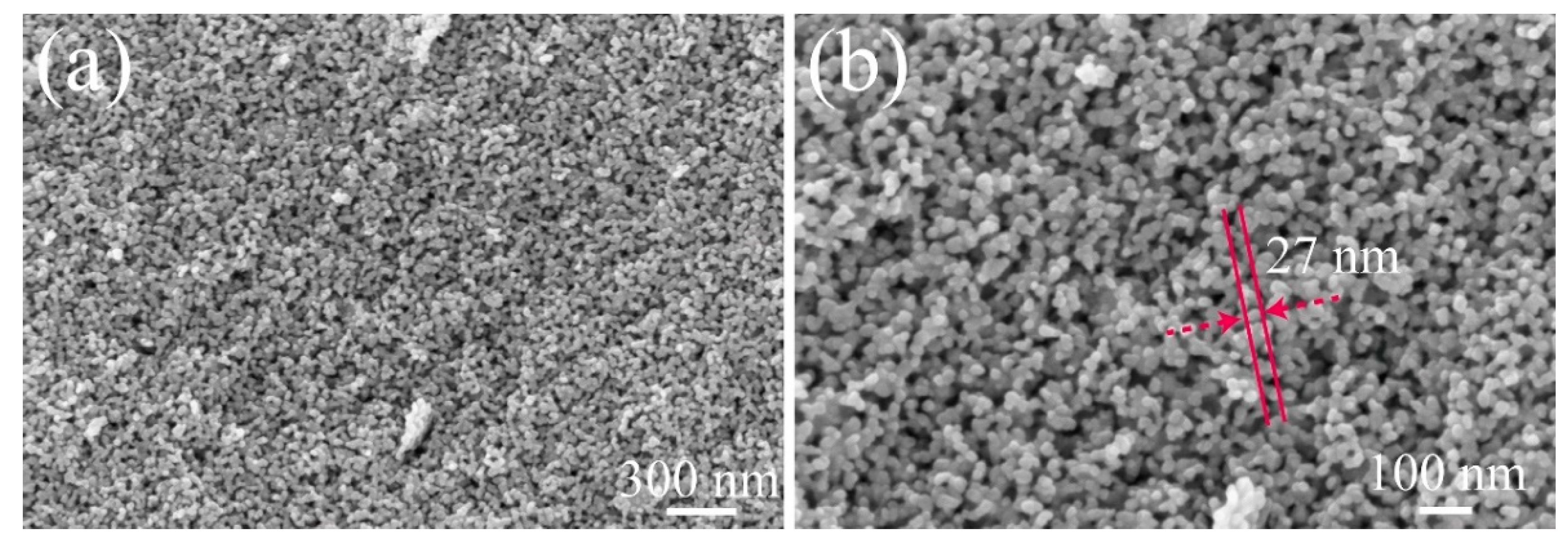 Catalysts 12 00535 g003
