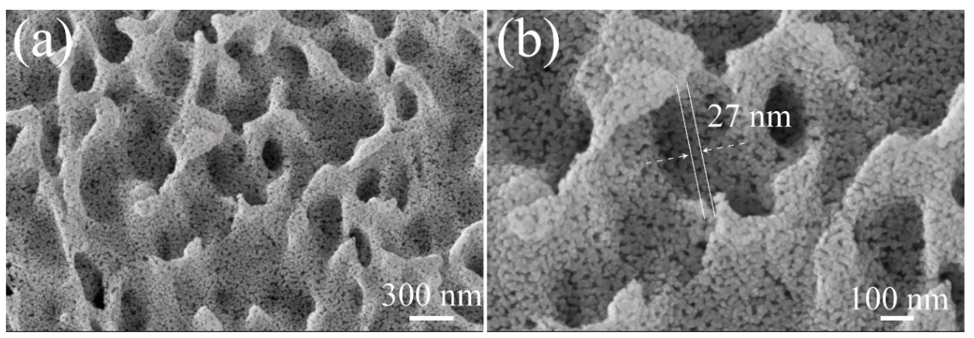 Catalysts 12 00535 g004