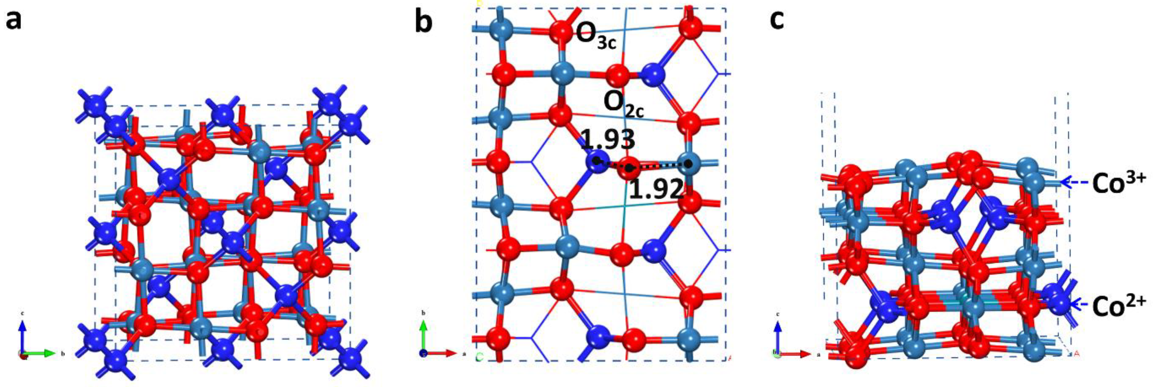 Catalysts 12 00560 g001
