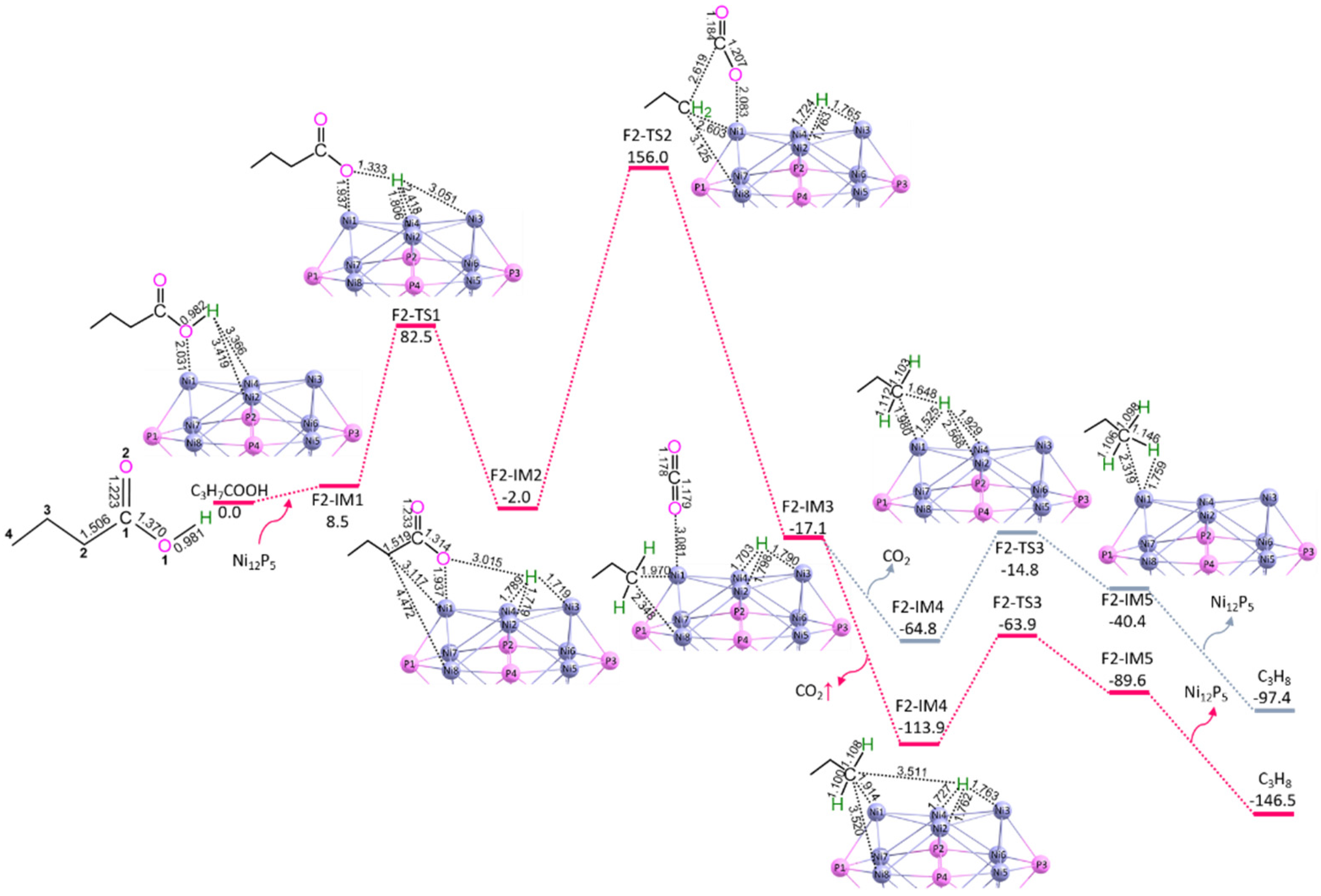Catalysts 12 00569 g002