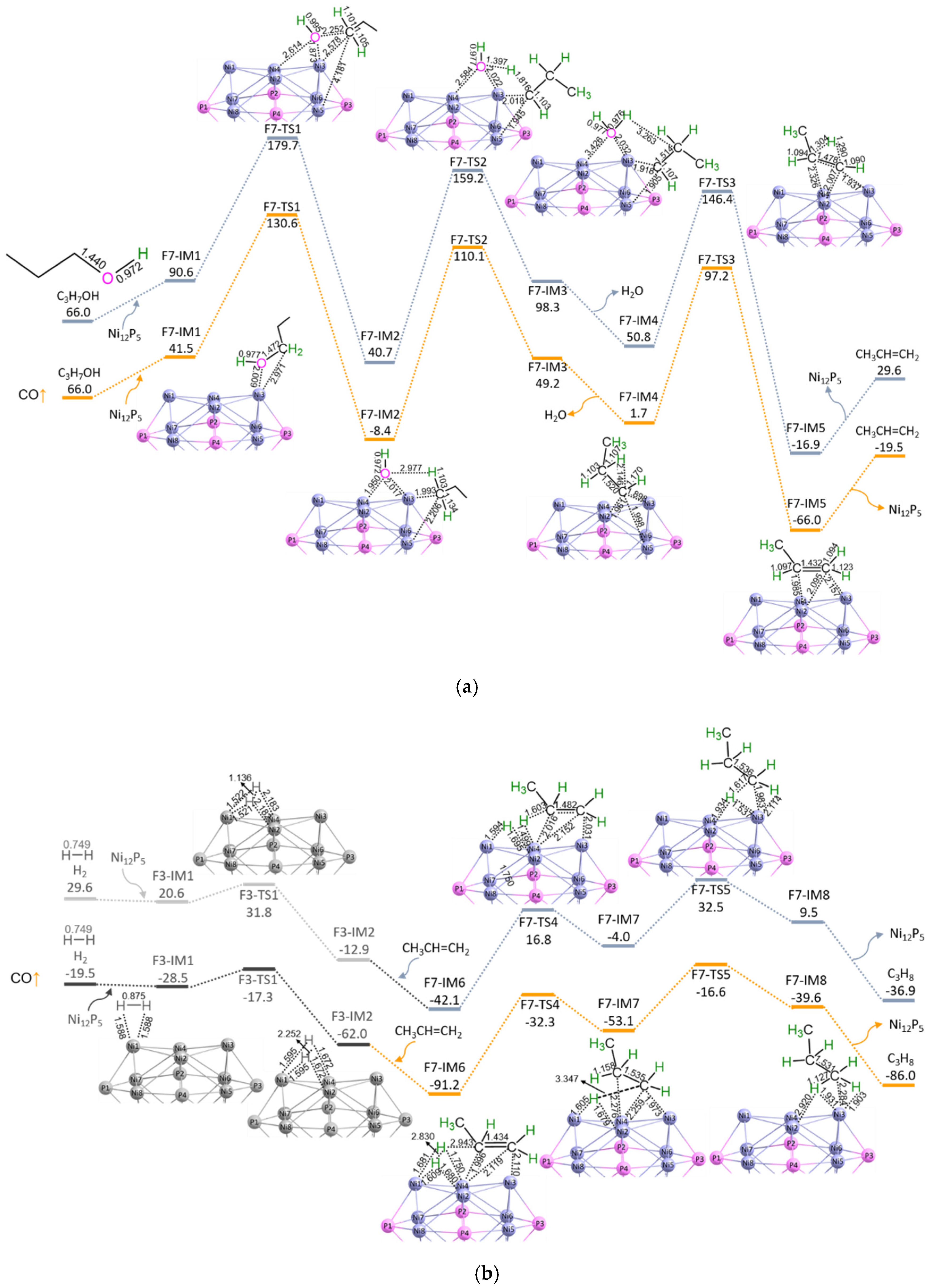 Catalysts 12 00569 g007