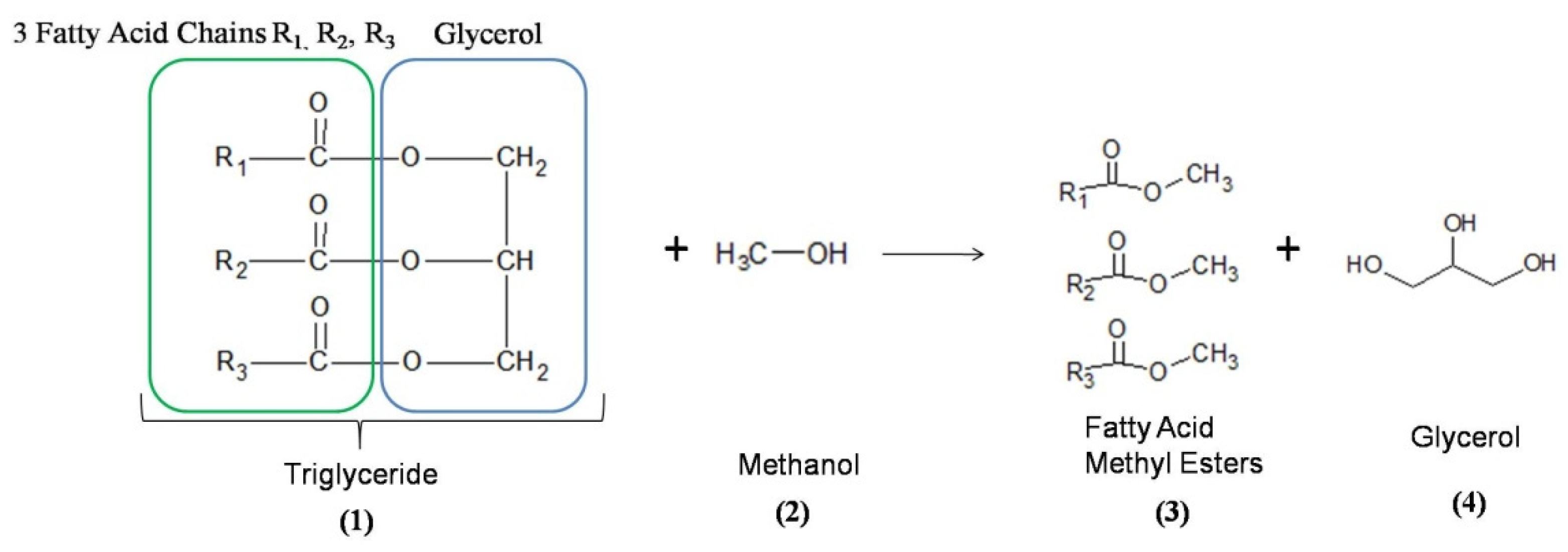 Catalysts 12 00570 g001