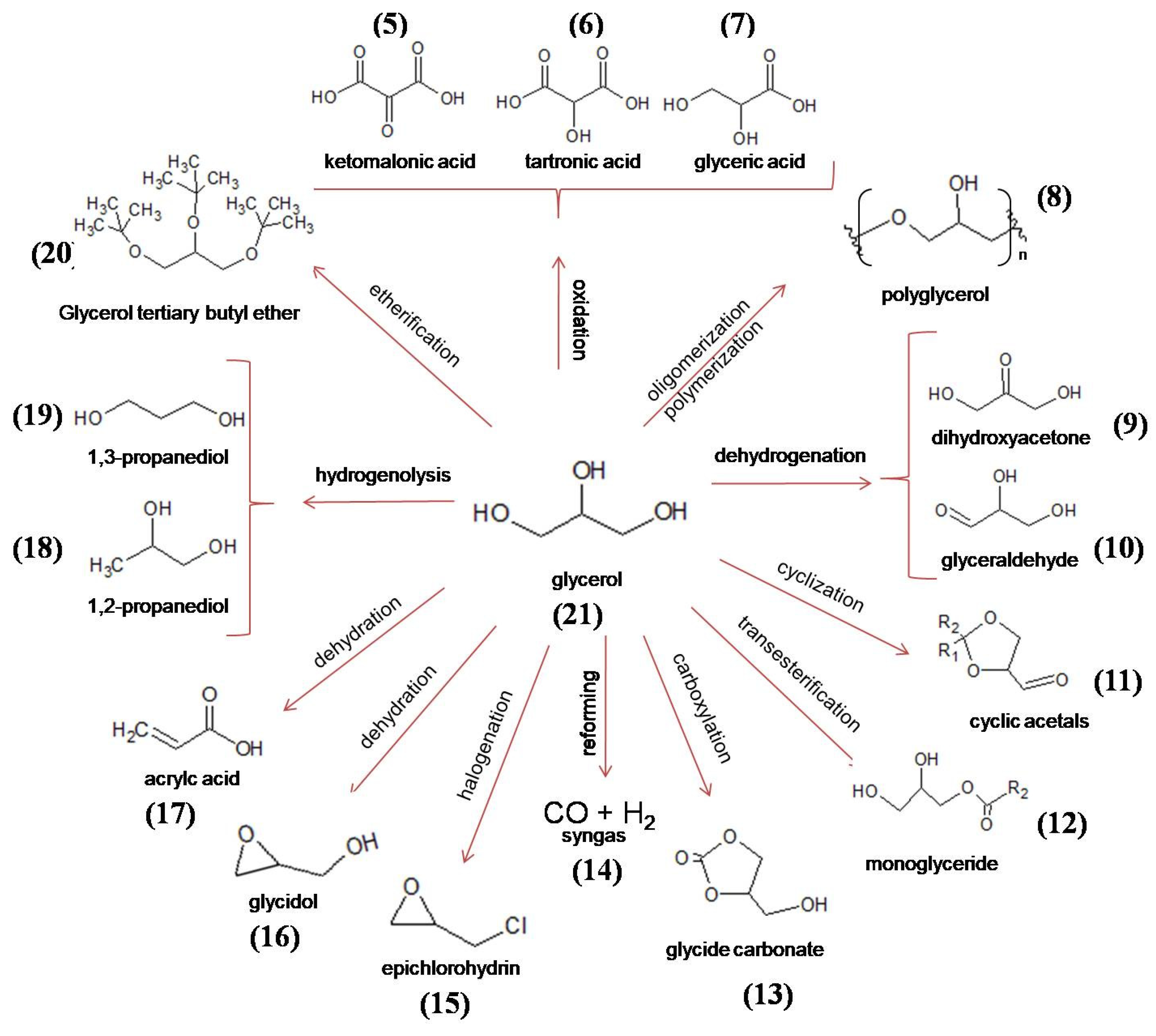 Catalysts 12 00570 g003