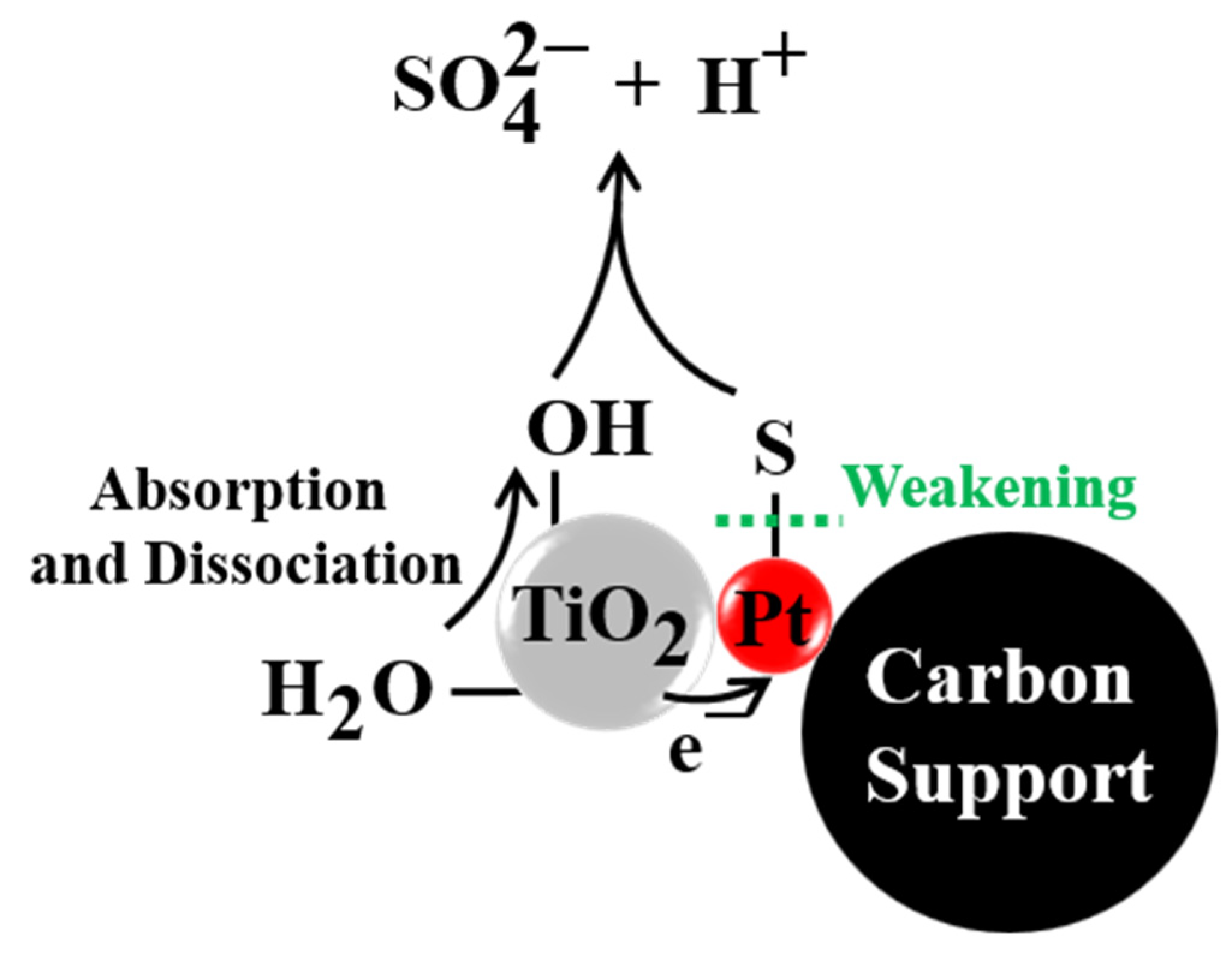 Catalysts 12 00571 g007
