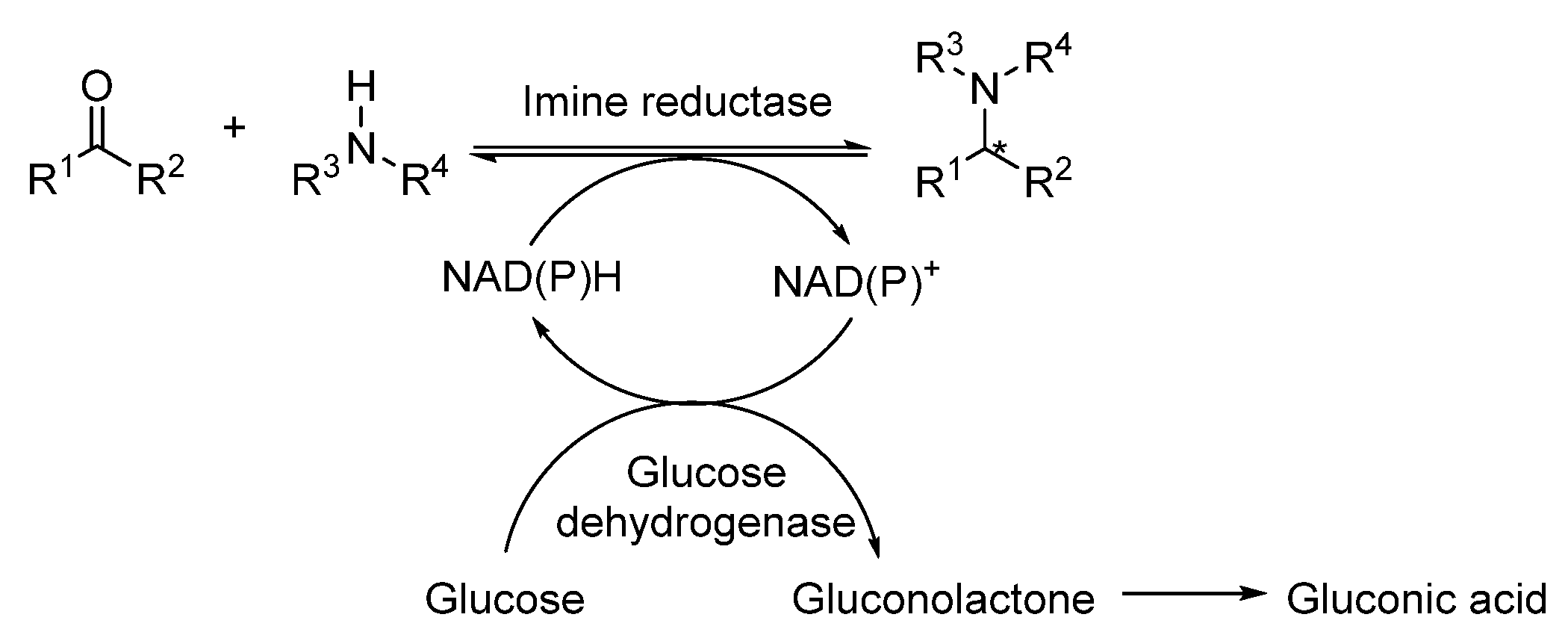 Catalysts 12 00595 sch014 Catalysts 12 00595 sch014