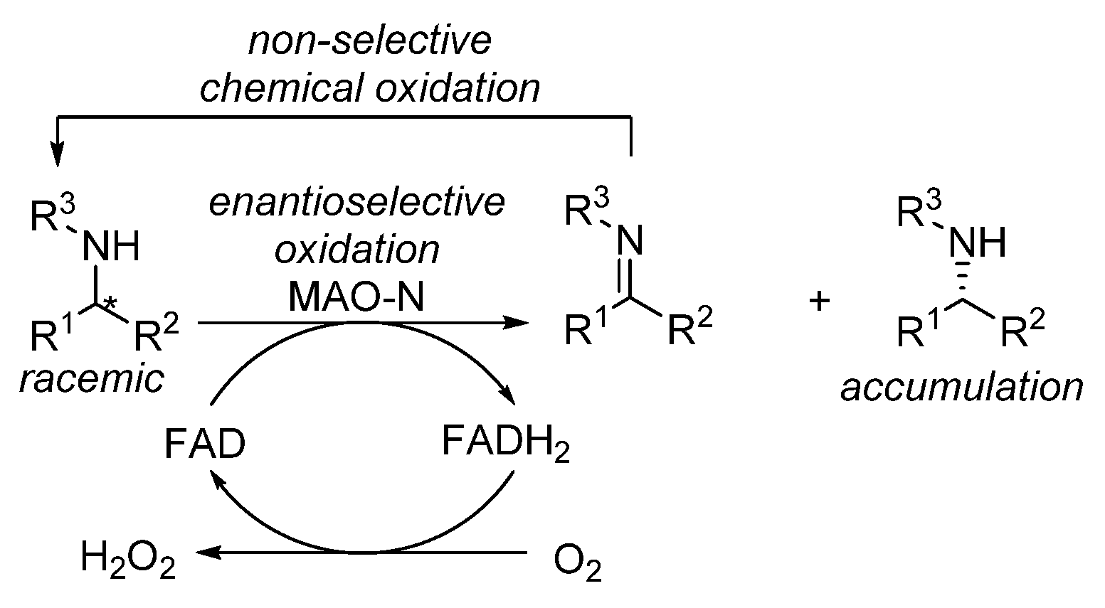 Catalysts 12 00595 sch019 Catalysts 12 00595 sch019