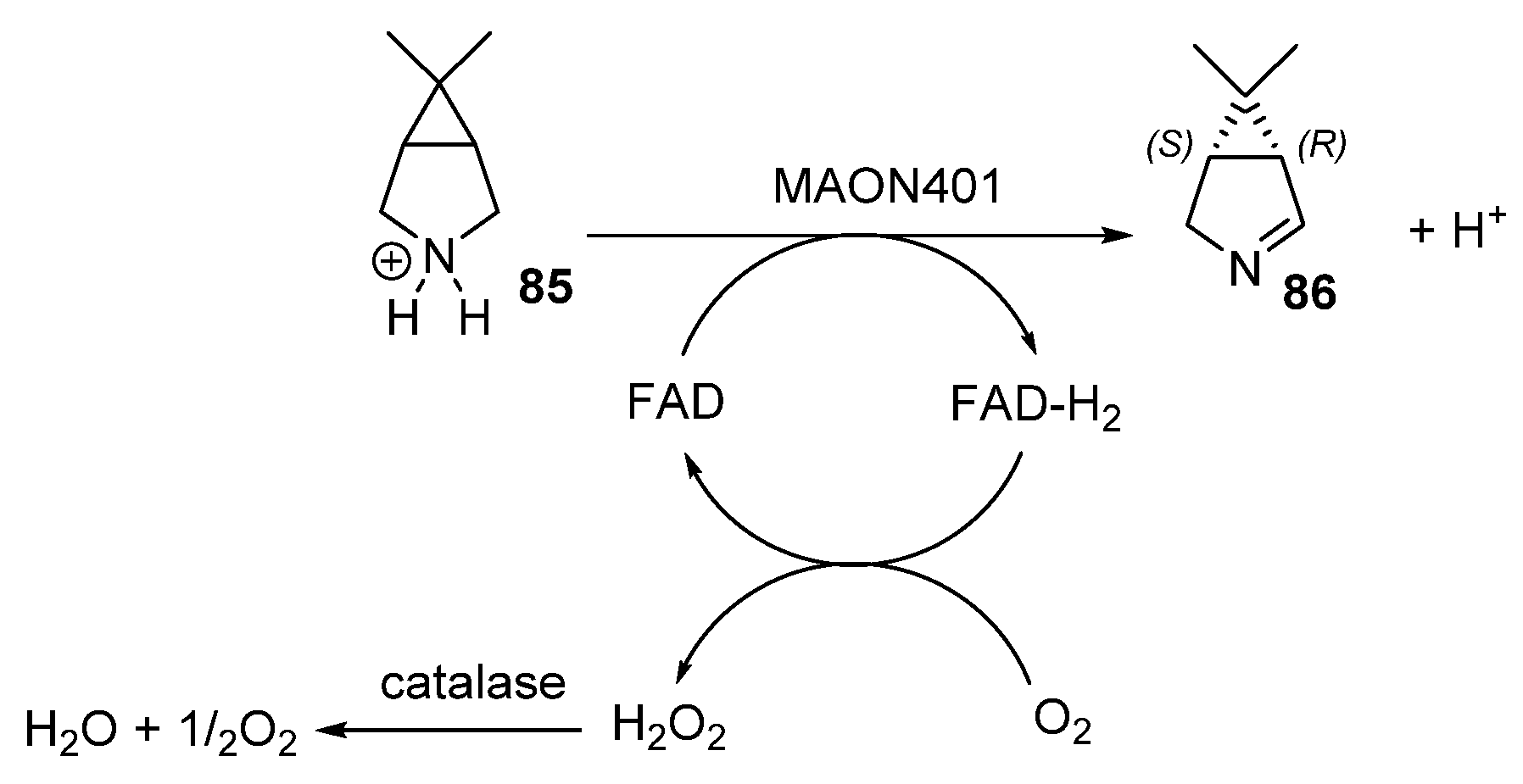 Catalysts 12 00595 sch022 Catalysts 12 00595 sch022