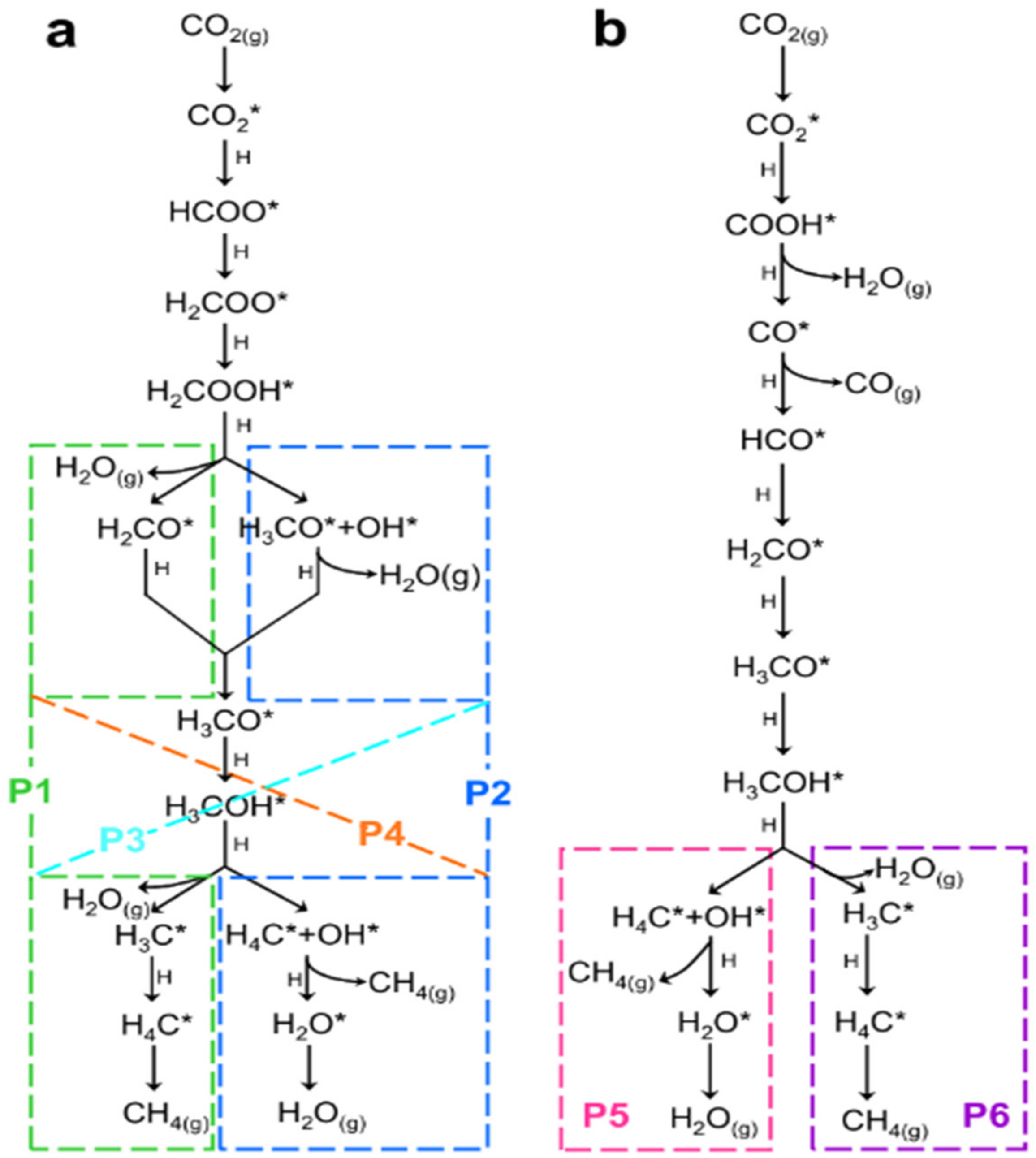 Catalysts 12 00612 g002