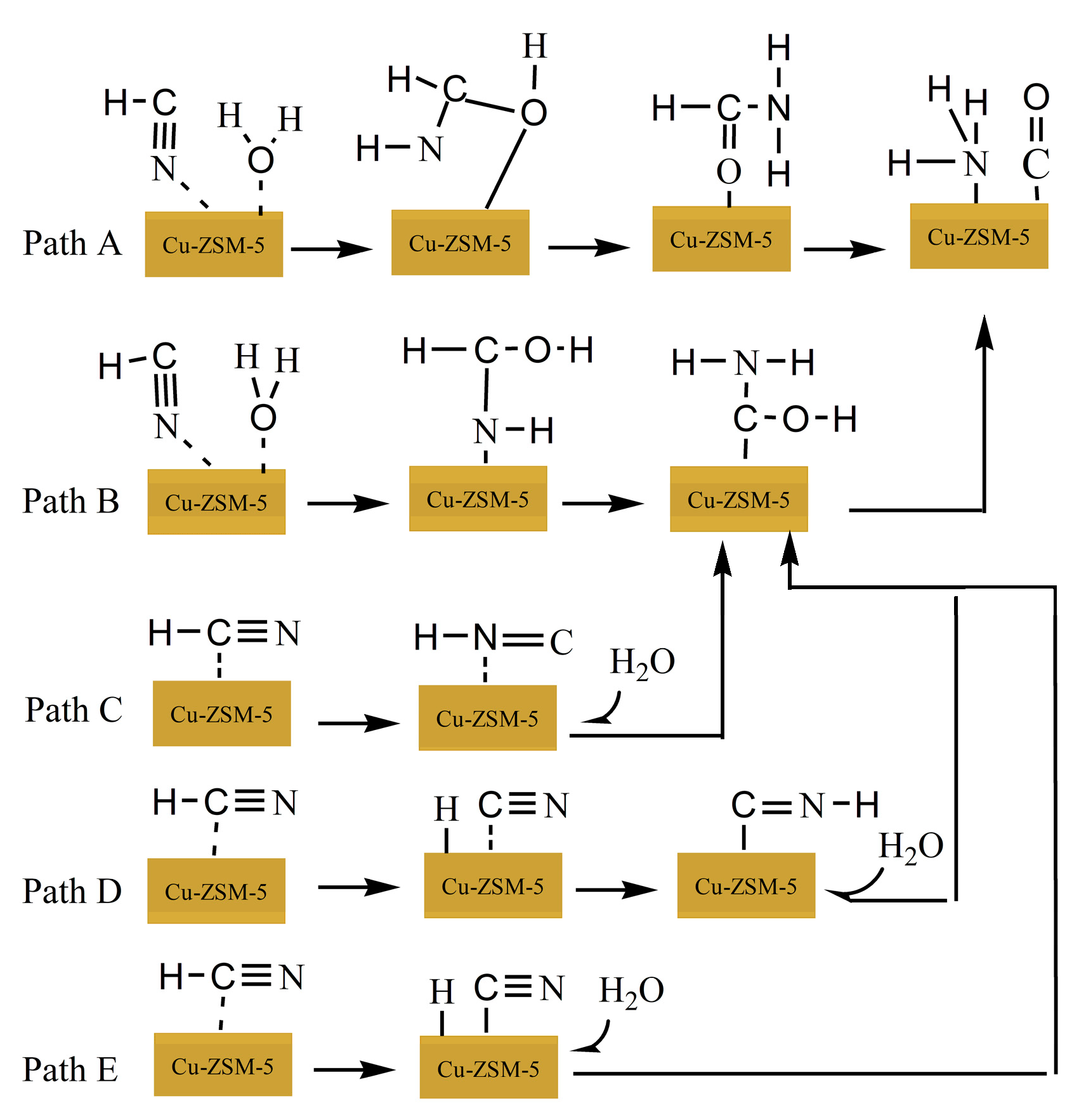 Catalysts 12 00648 g003