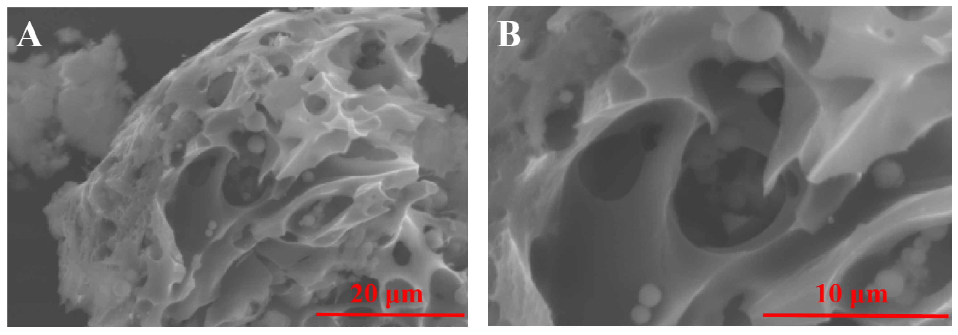 Catalysts 12 00662 g002