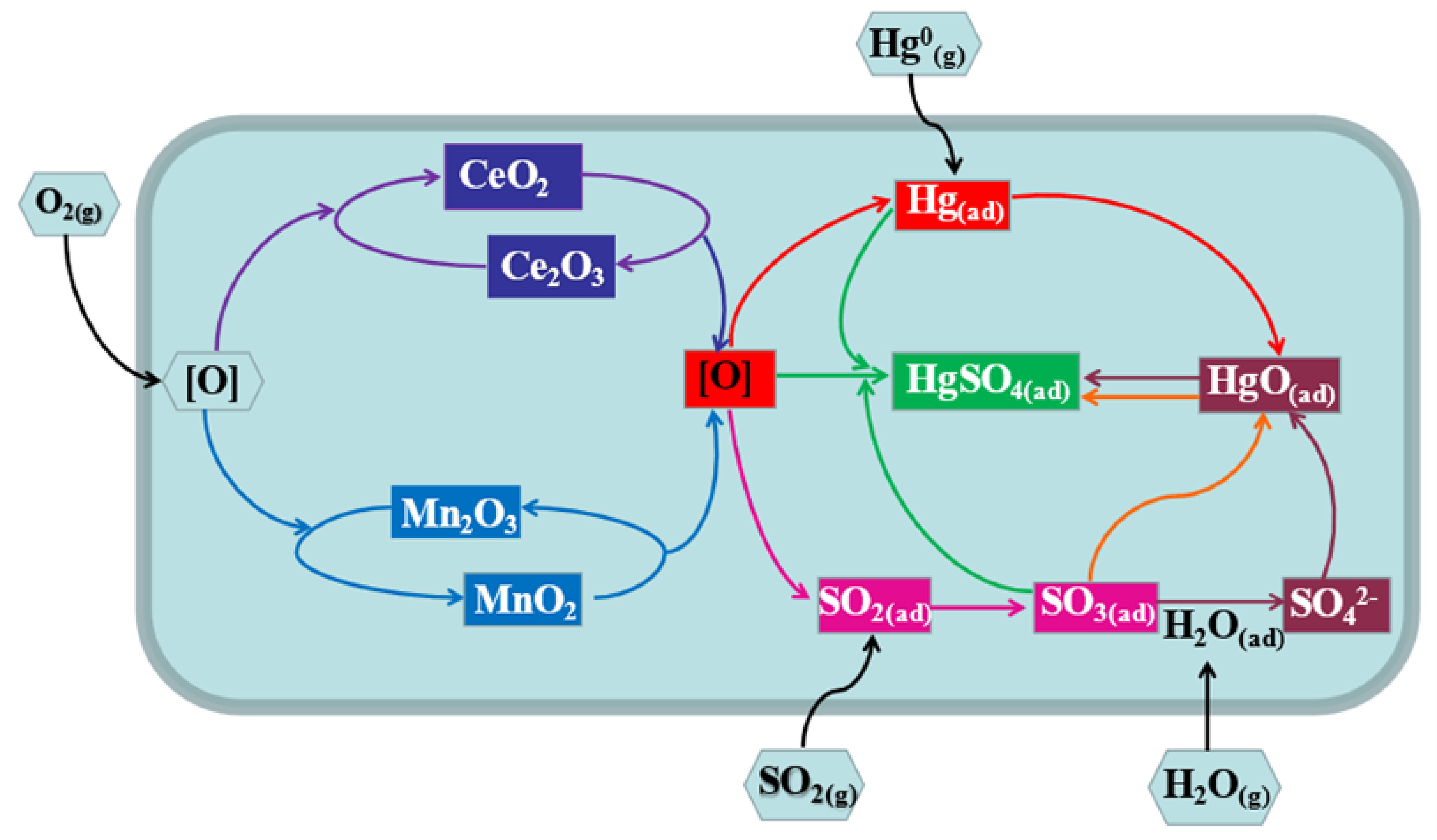 Catalysts 12 00662 g008