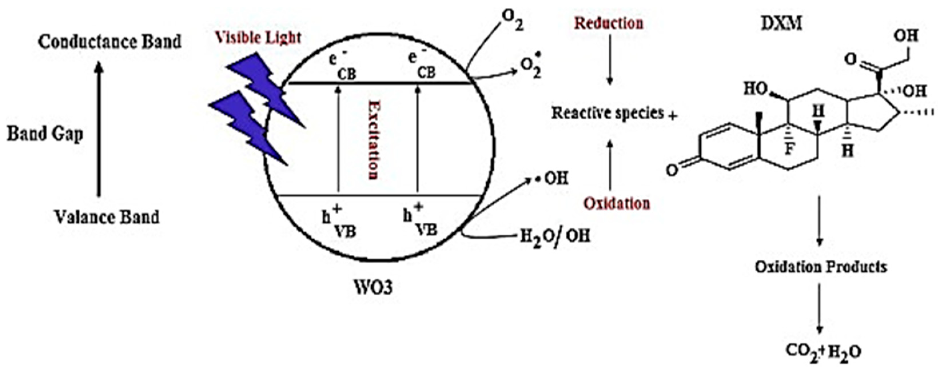 Catalysts 12 00667 g006
