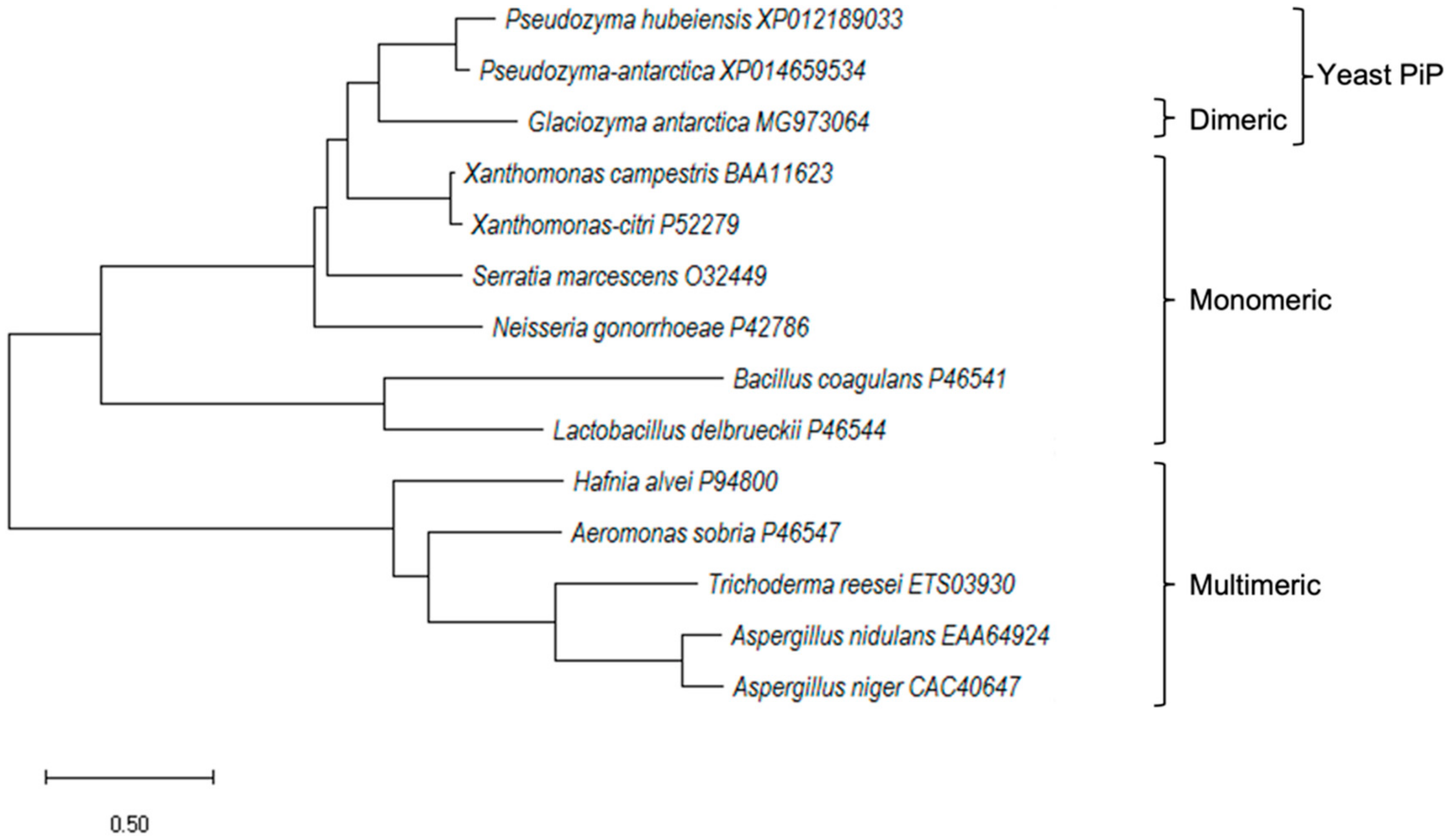 Catalysts 12 00722 g002 Catalysts 12 00722 g002