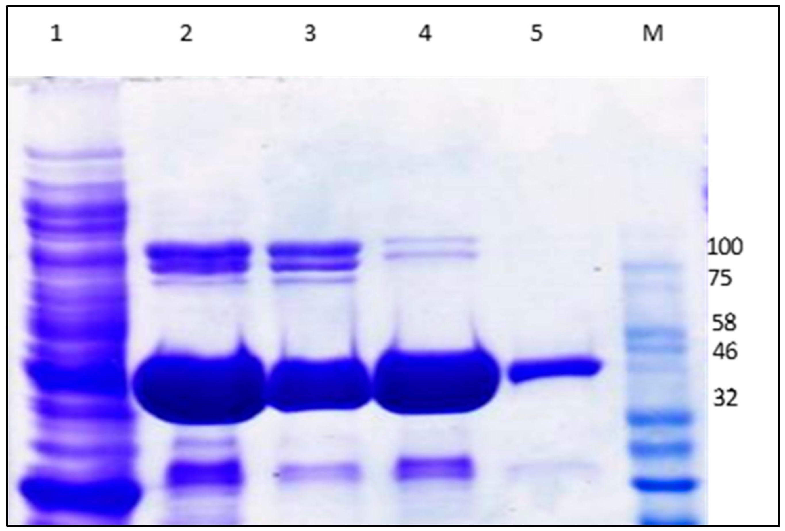 Catalysts 12 00722 g003 Catalysts 12 00722 g003