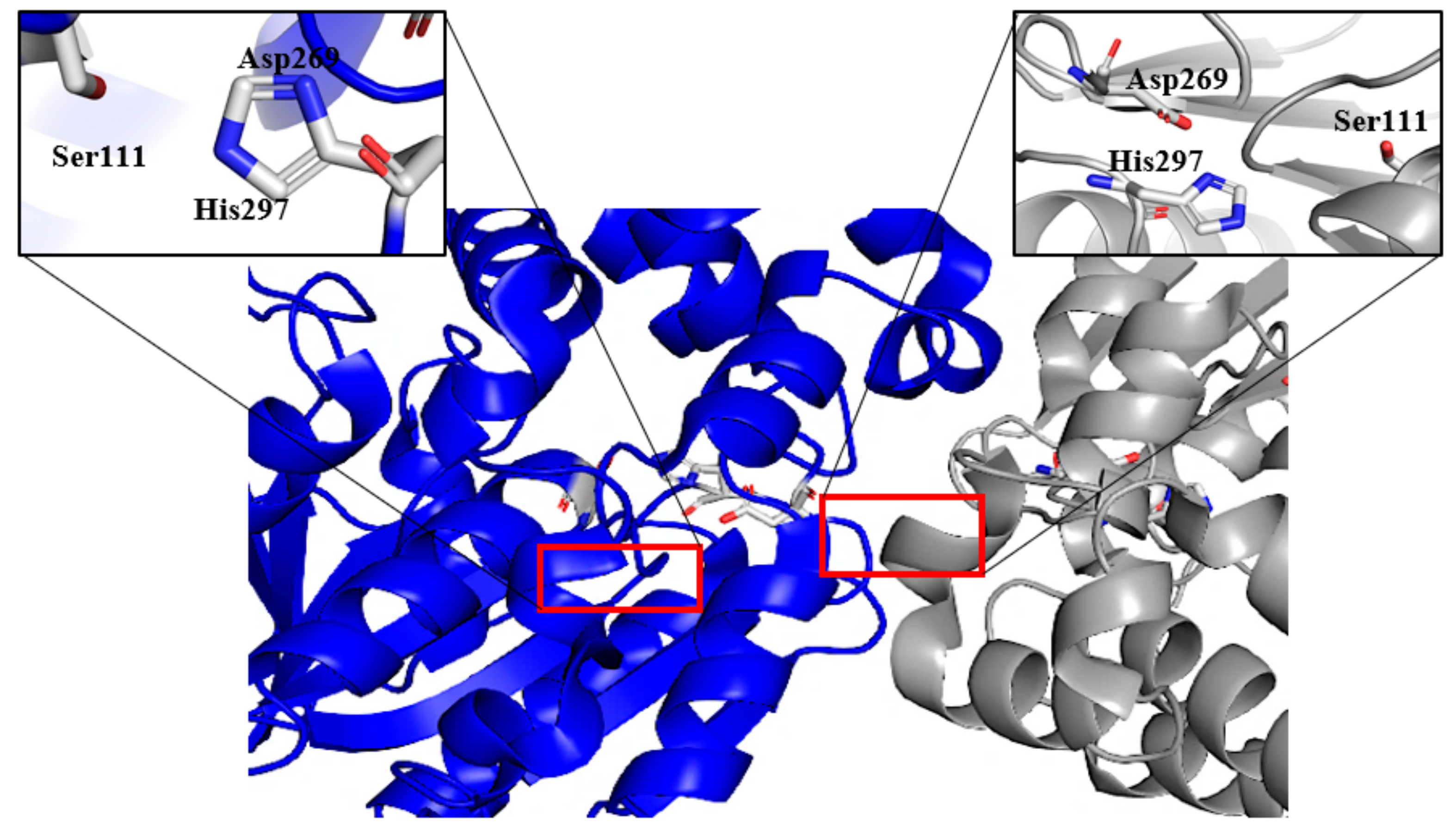 Catalysts 12 00722 g007 Catalysts 12 00722 g007