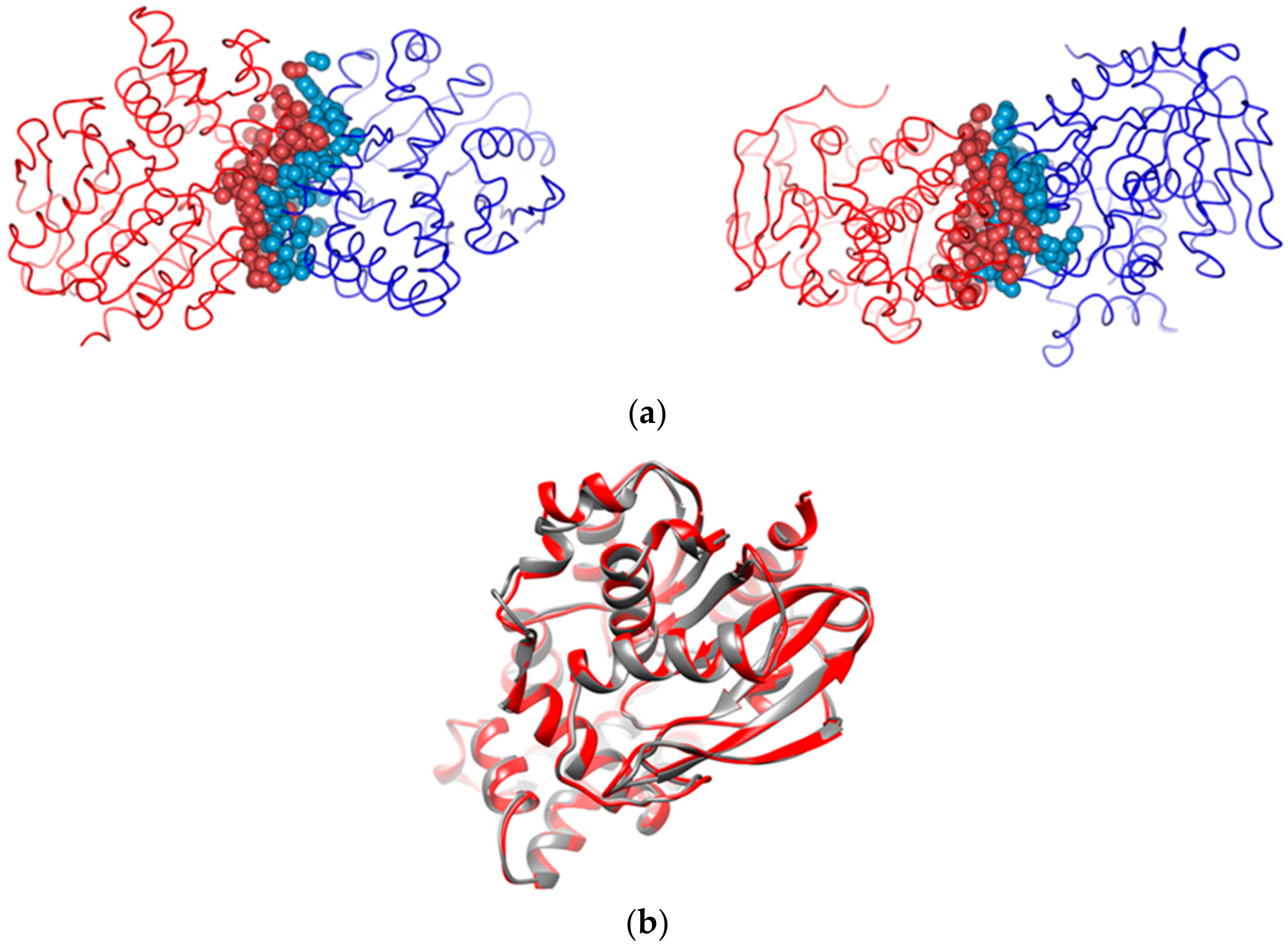 Catalysts 12 00722 g008 Catalysts 12 00722 g008