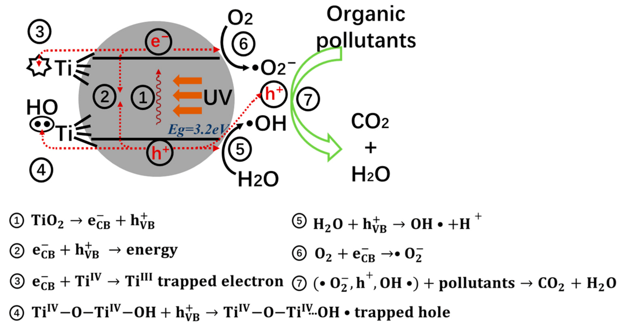 Catalysts 12 00724 g002