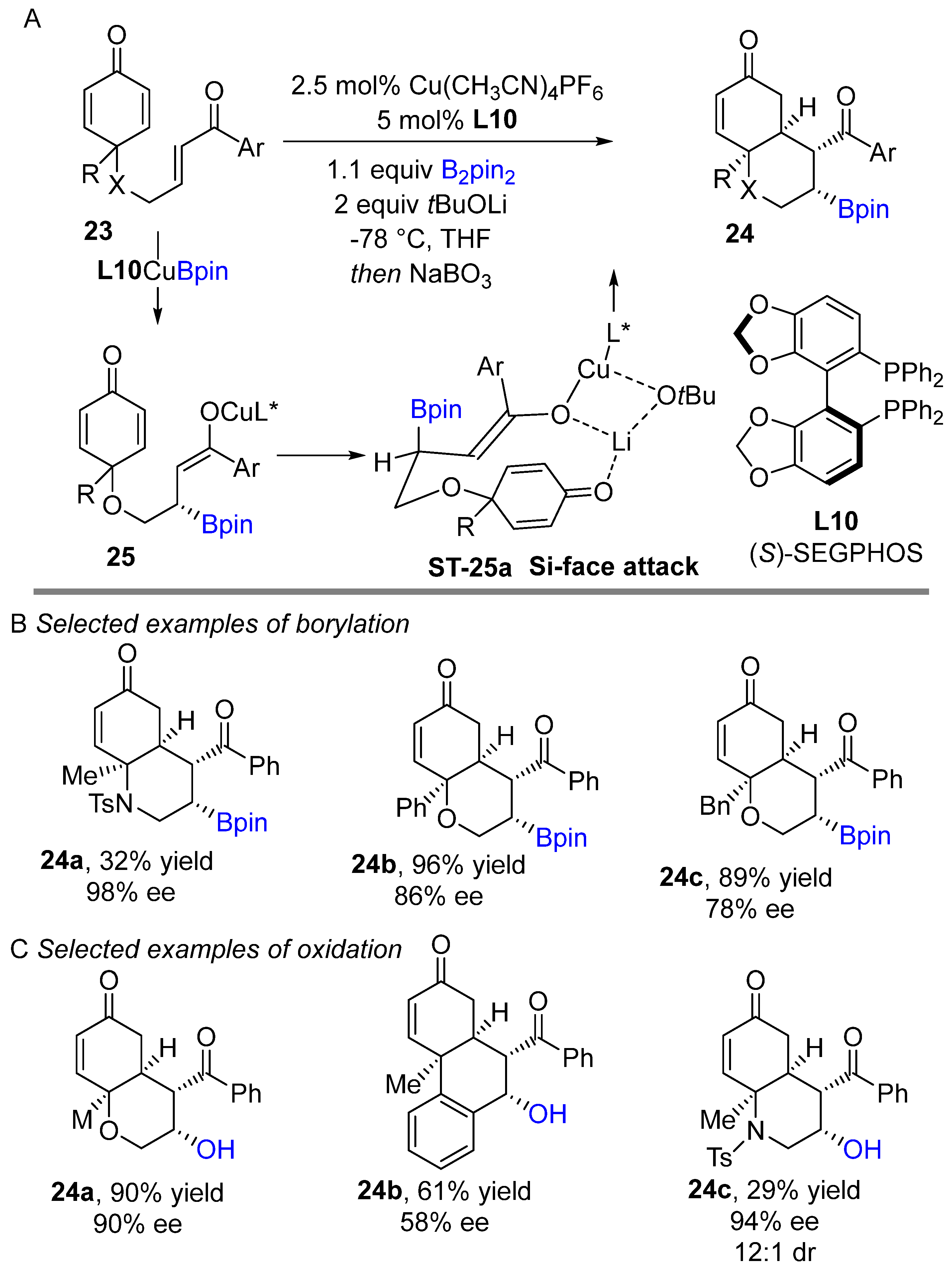 Catalysts 12 00734 sch014