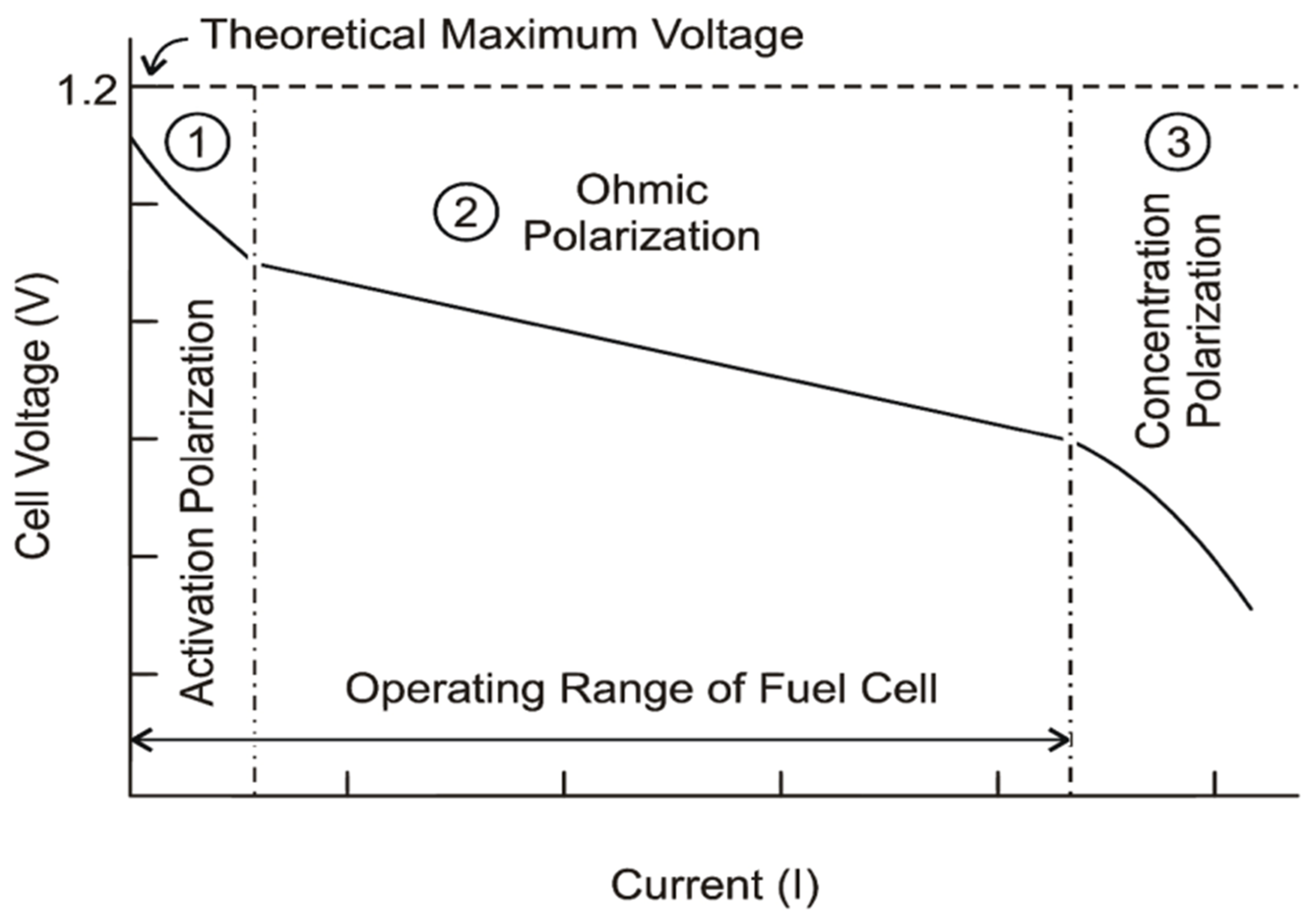 Fuel Cell Polarization Curve.