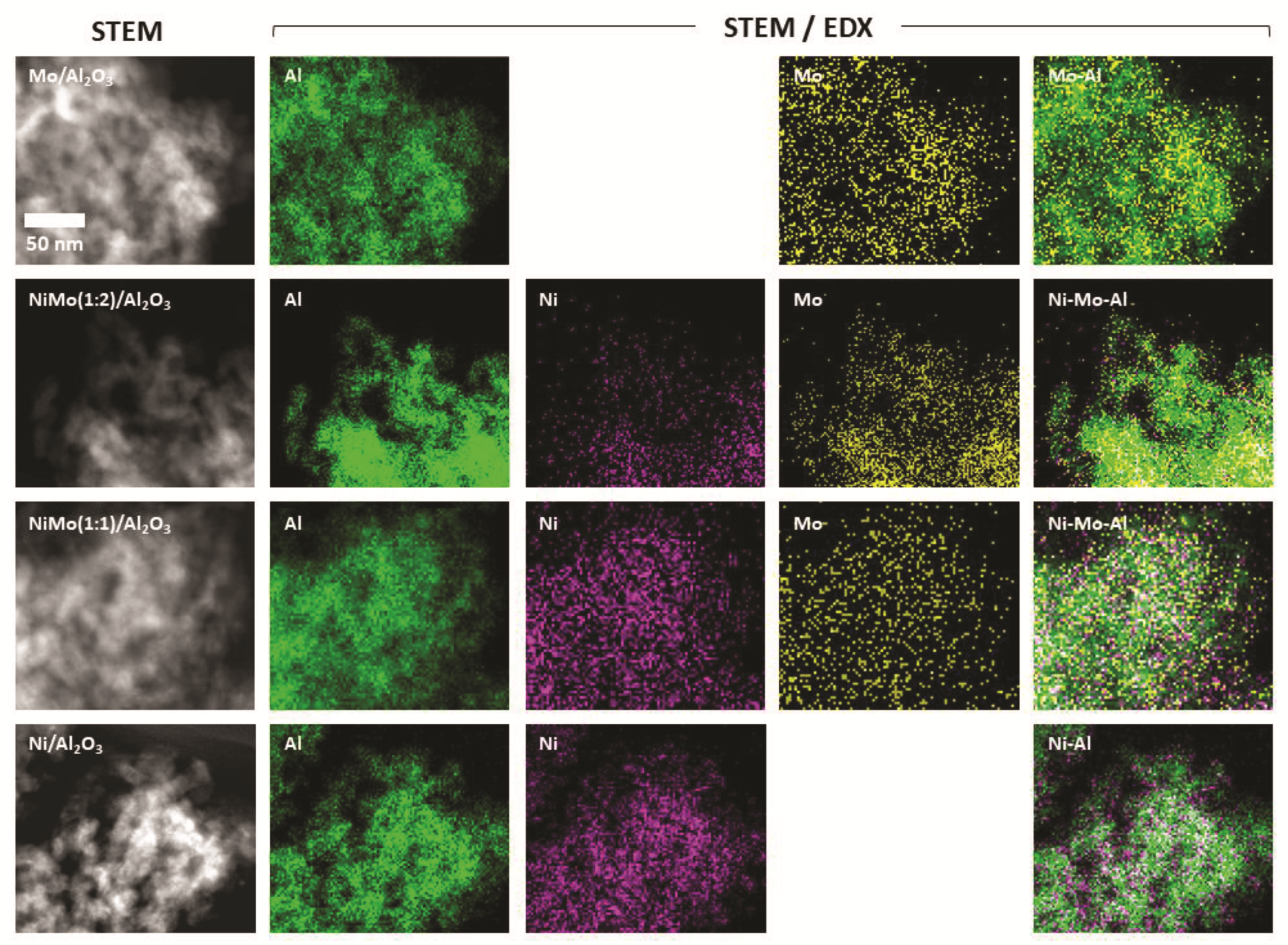 Catalysts 12 00755 g001