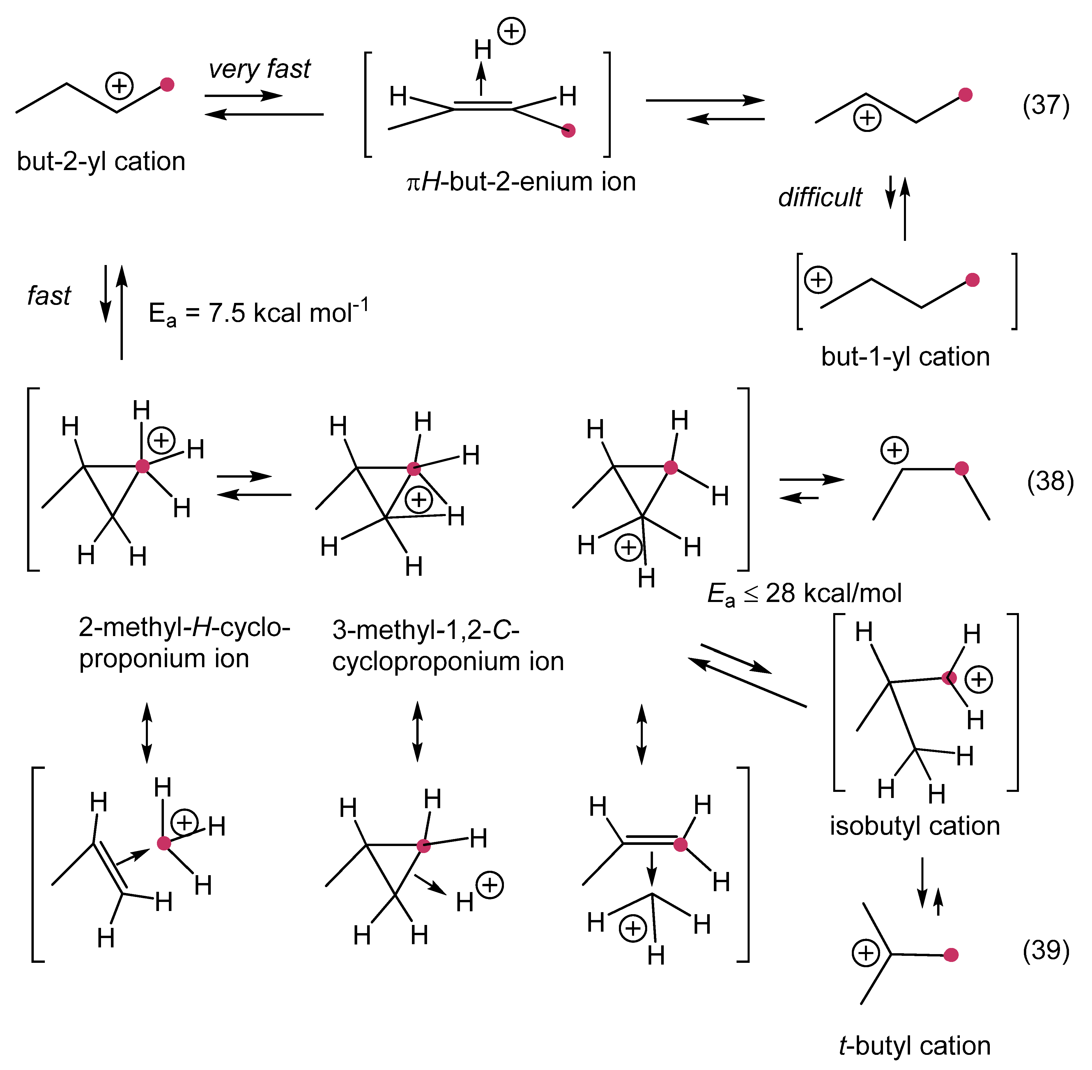 Catalysts 12 00758 sch012 Catalysts 12 00758 sch012