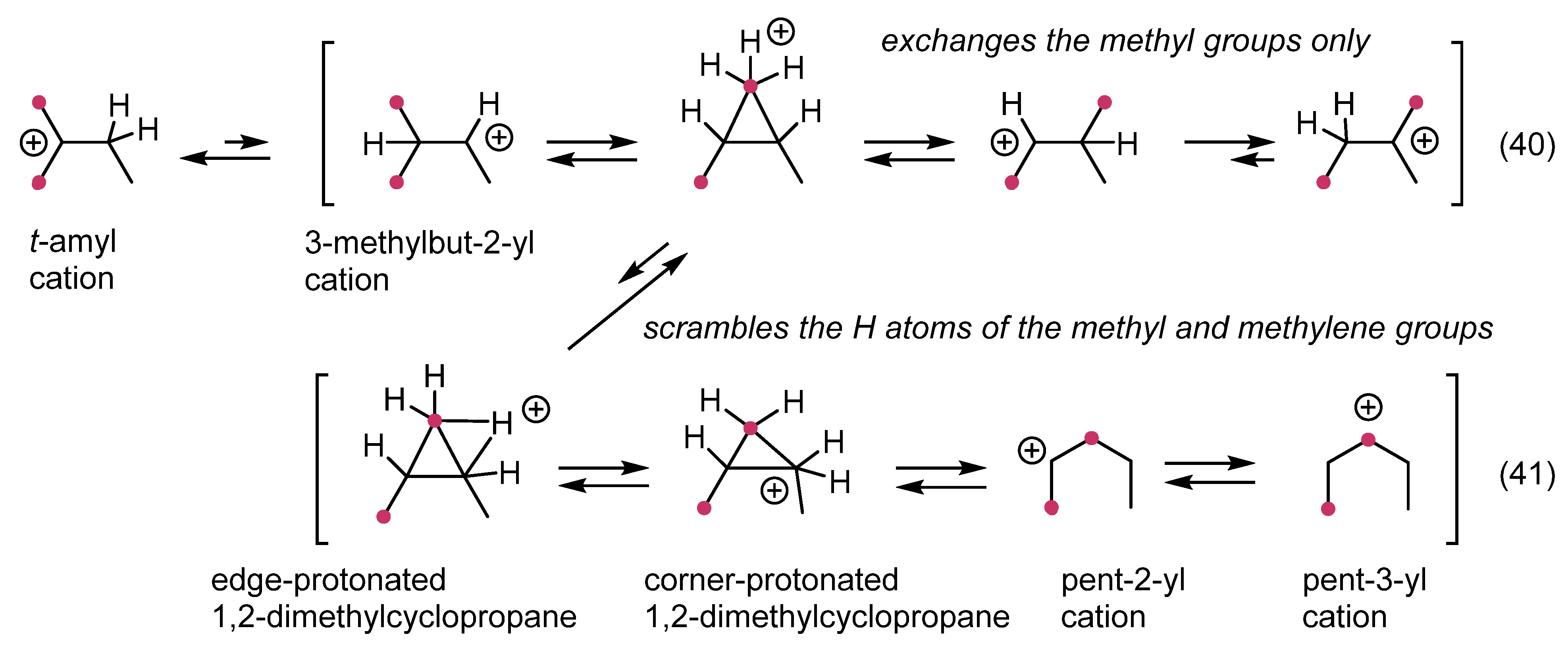 Catalysts | Free Full-Text | Organic Chemistry and Synthesis Rely More ...