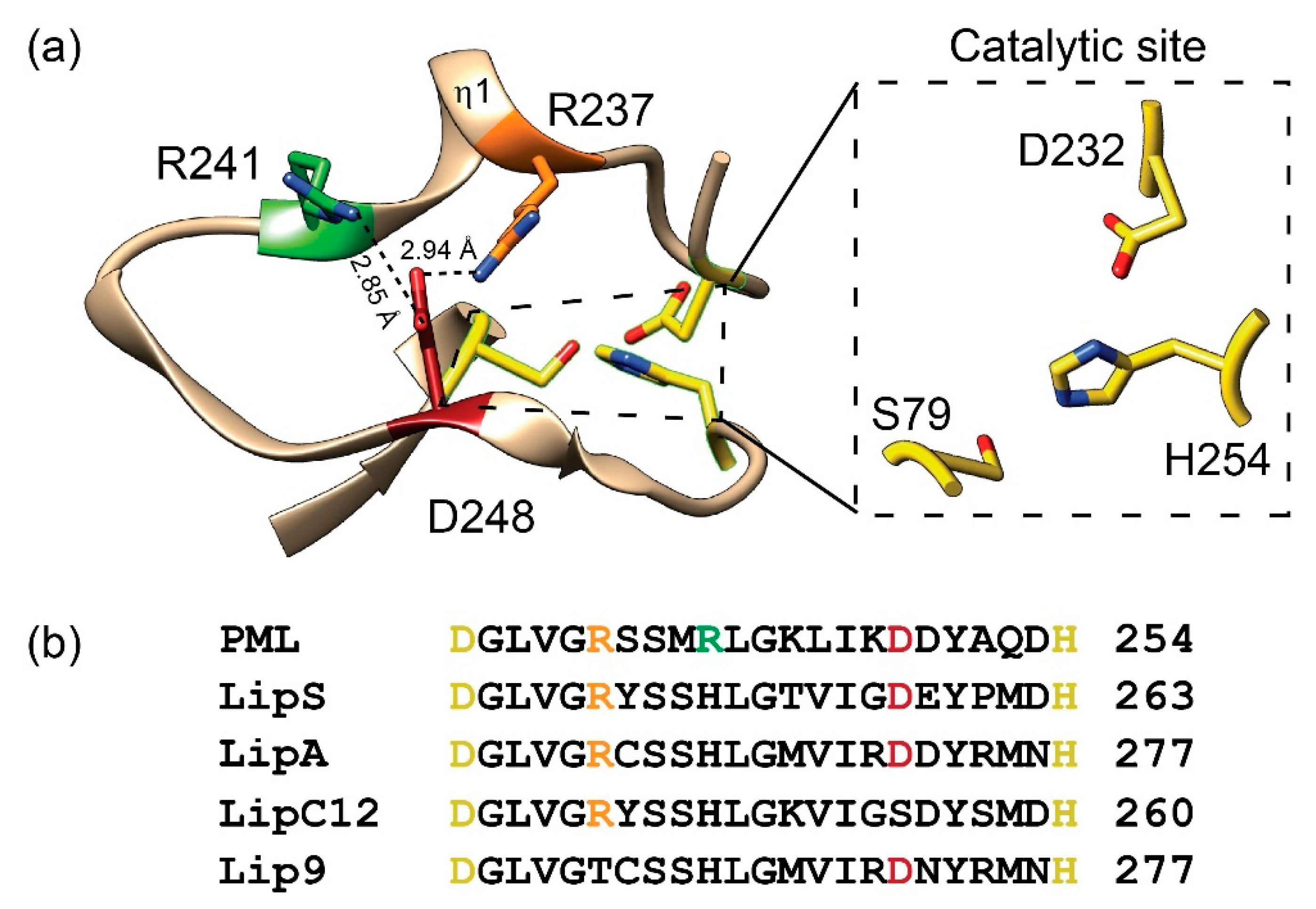 Evolution of Organic Solvent-Resistant DNA Polymerases