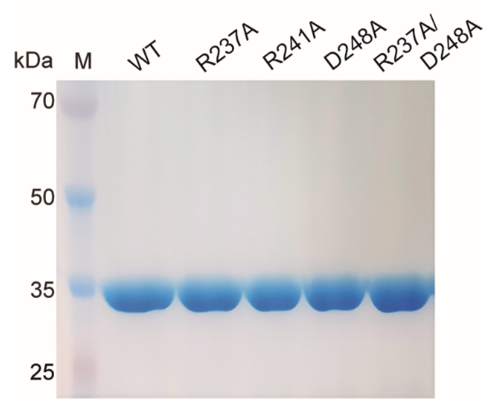 Catalysts 12 00761 g002