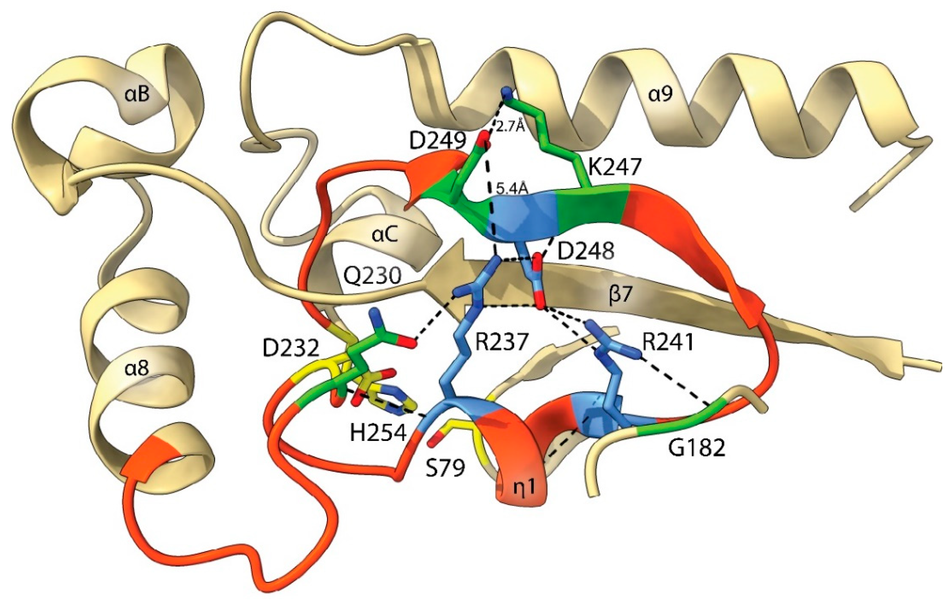 Catalysts 12 00761 g008