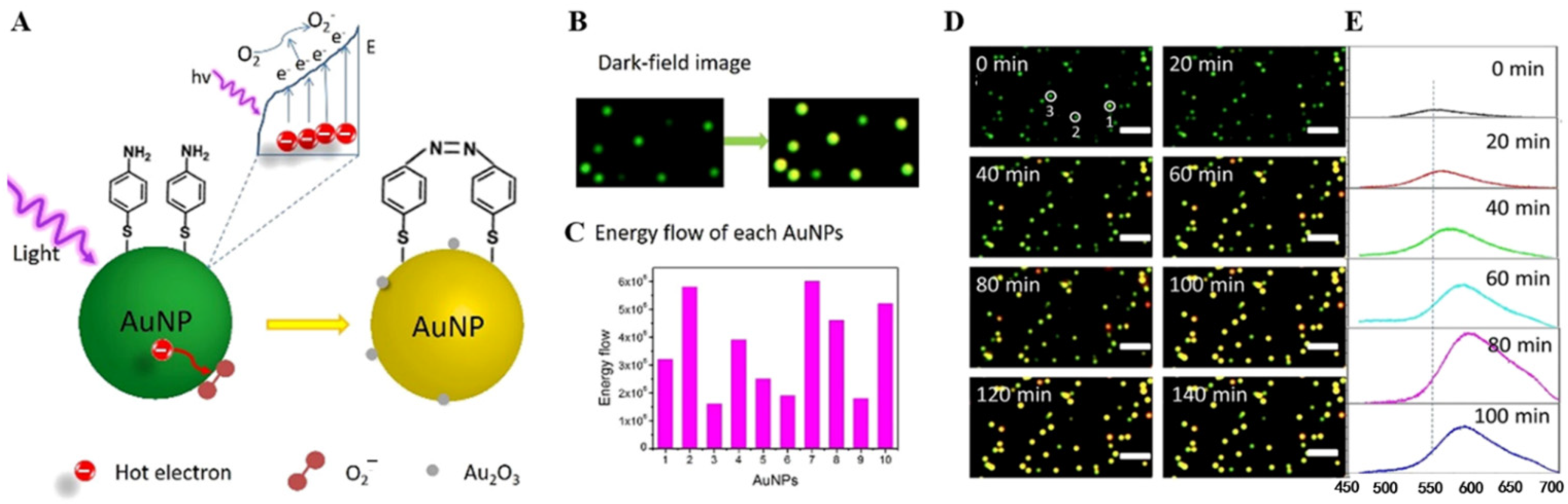 Catalysts 12 00764 g008