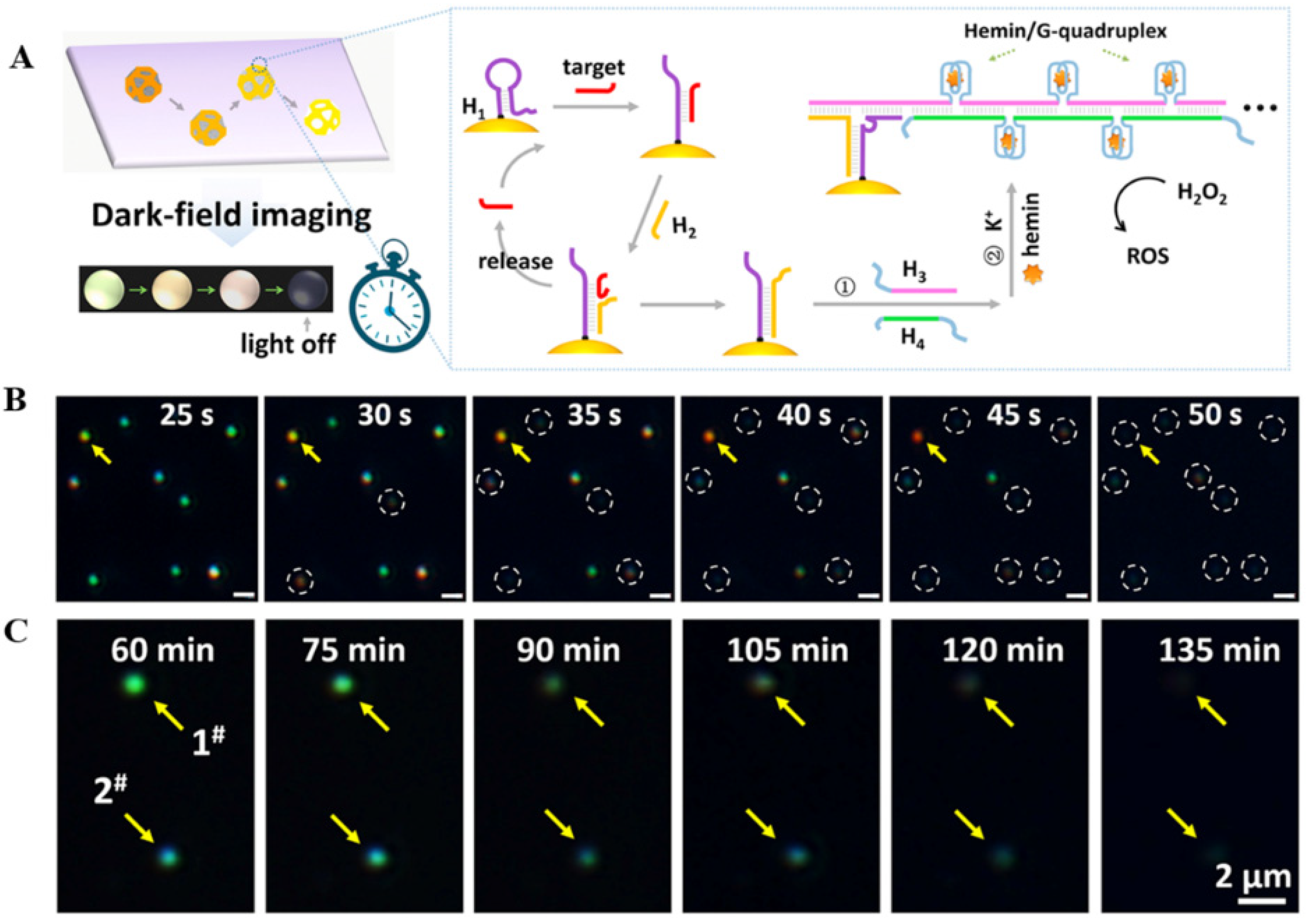 Catalysts 12 00764 g009