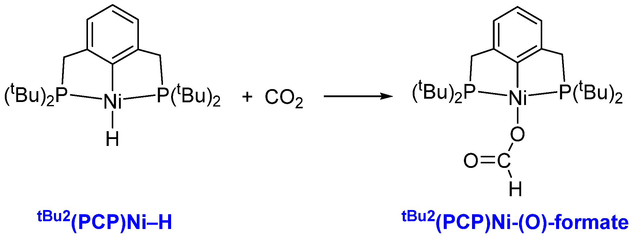 Catalysts 12 00790 g001